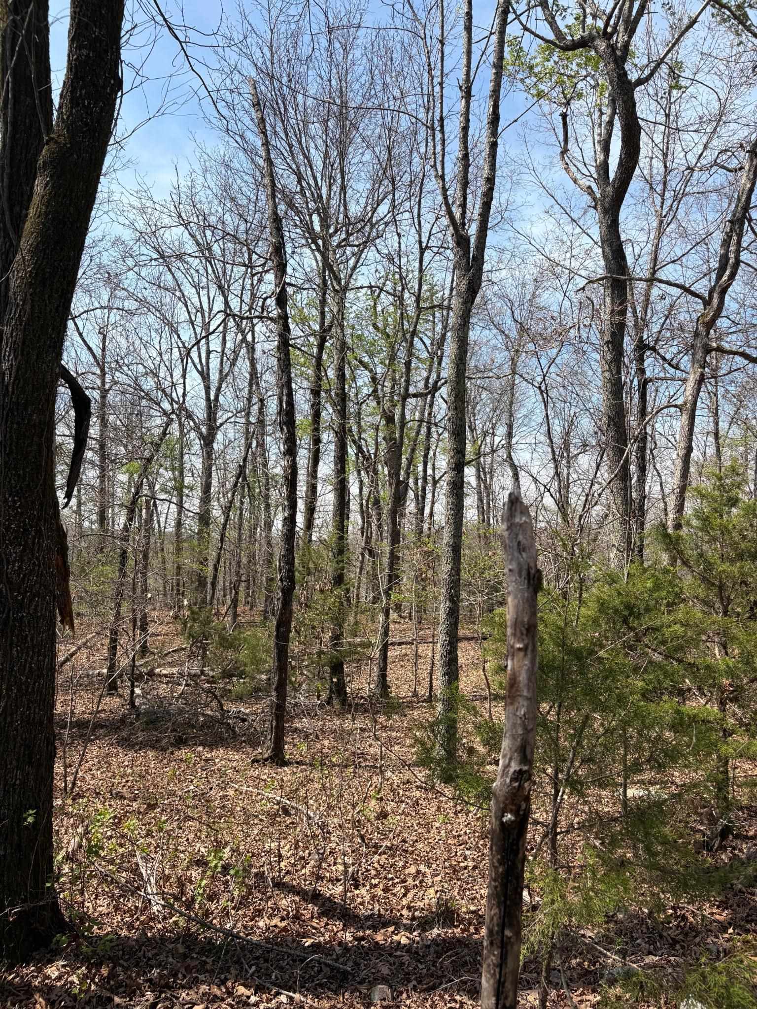 Metes & Bounds - Land