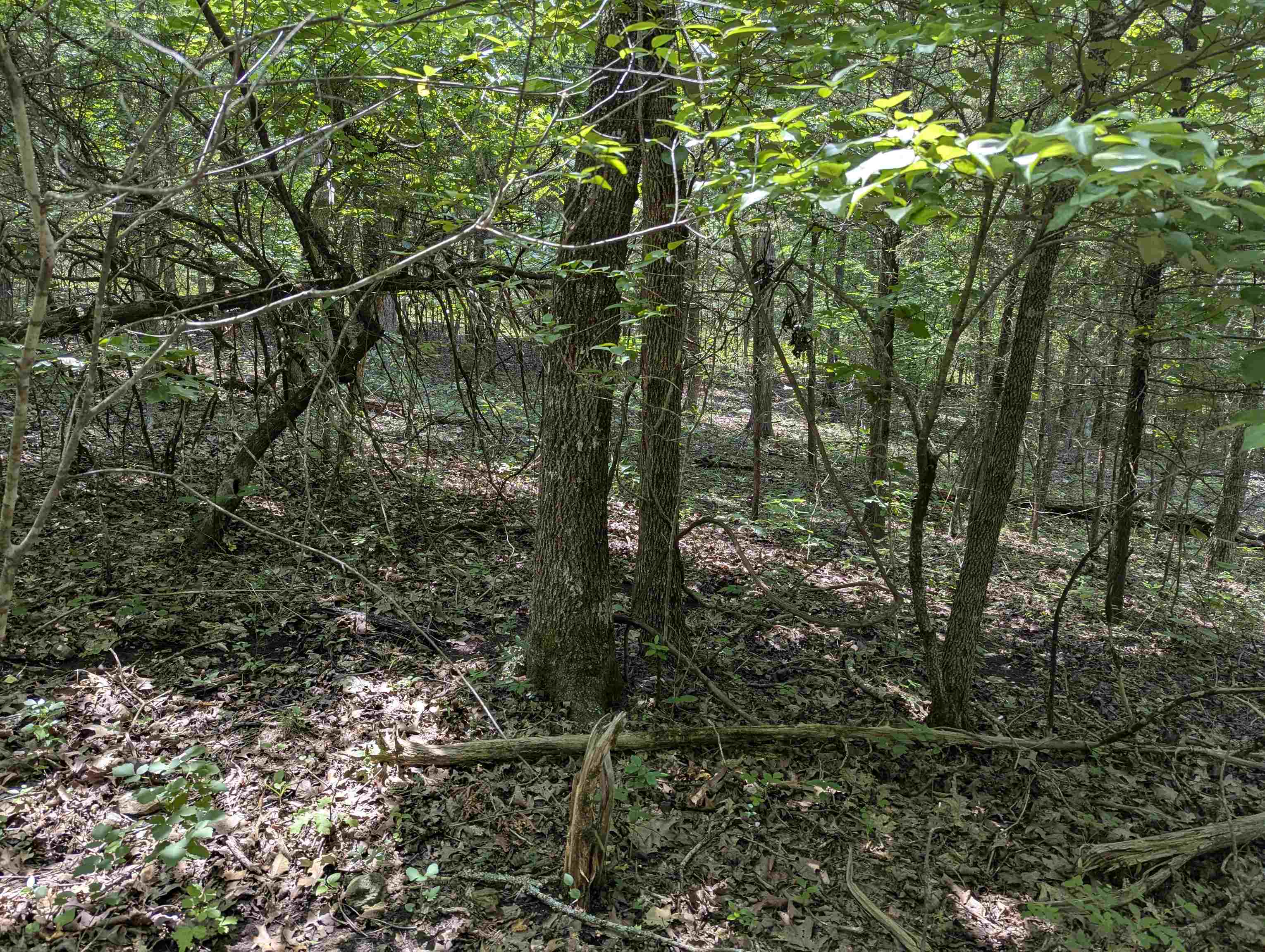 Metes & Bounds - Land