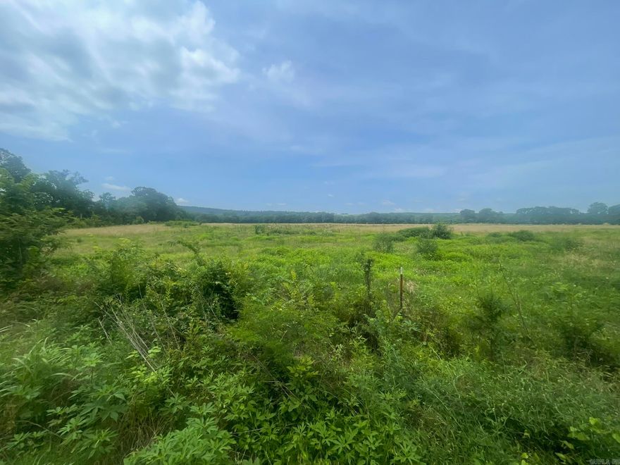 This expansive 369-acre property offers a rare combination of natural beauty and practical potential. Featuring five serene ponds, a seasonal creek, and an impressive 82' x 100' barn, the land transitions gracefully from flat pasture to gently rolling hills. It’s perfectly suited for a working farm, equestrian retreat, or a thoughtfully designed residential subdivision. Just minutes from Booneville, Greenwood and Fort Smith. This property provides the tranquility of the countryside with convenient access to town. Whether you're dreaming of building a custom estate, launching an agricultural venture, or developing a legacy property—this land delivers space, beauty, and opportunity. Agents, please see agent remarks.