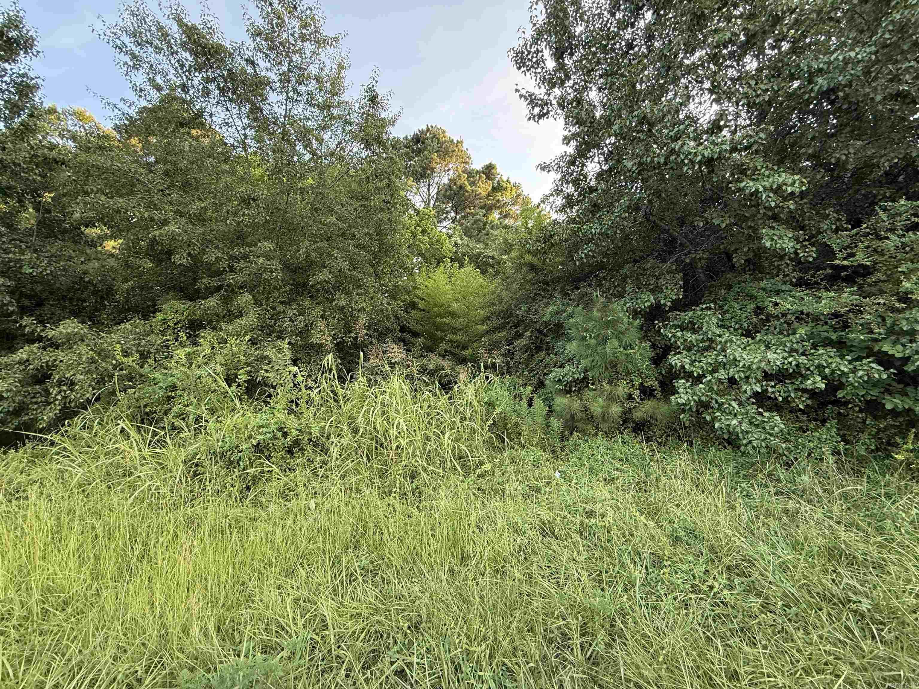 Undeveloped acreage, wooded, great location to build your dream home! Rural water, electric, and natural gas at the road. Will need septic. Mountain Pine Schools!