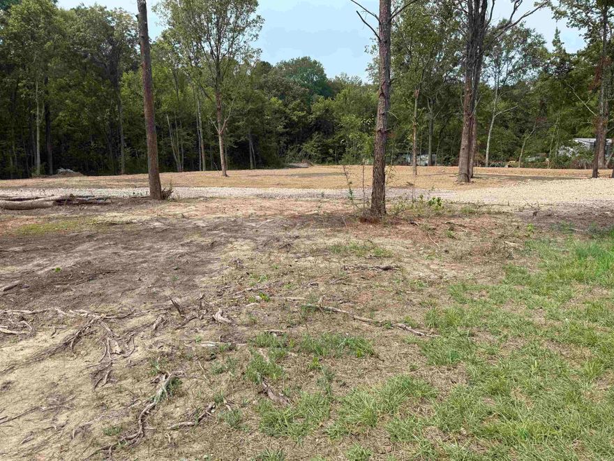 Undeveloped acreage, wooded, great location to build your dream home! Rural water, electric, and natural gas at the road. Will need septic. Mountain Pine Schools!