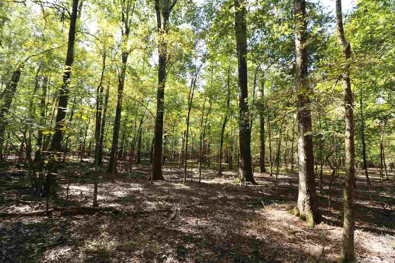 Timber tract.