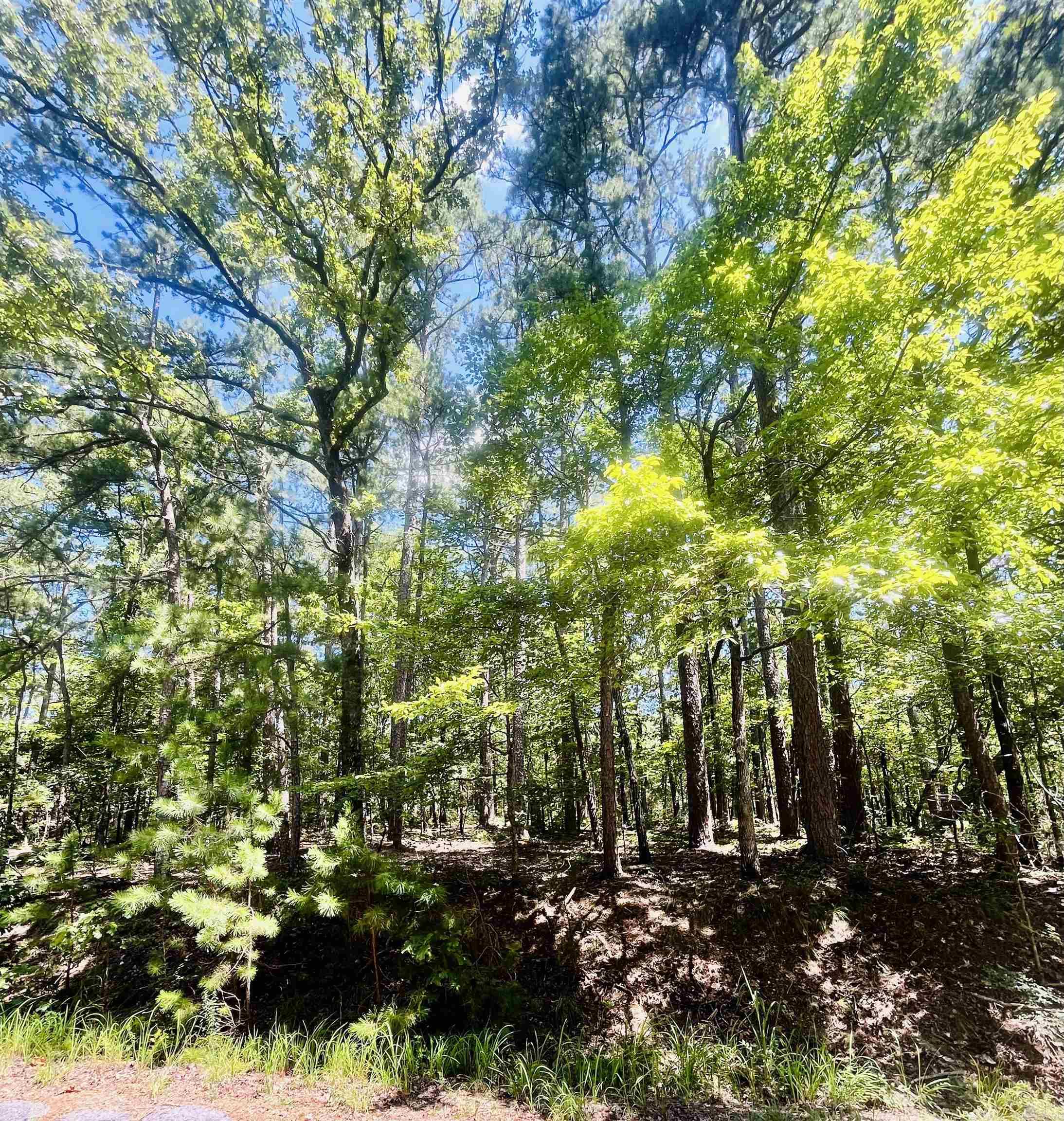 Great interior lot for a new build! Centrally located in Hot Springs Village making for easy access to all Hot Springs Village offers.
