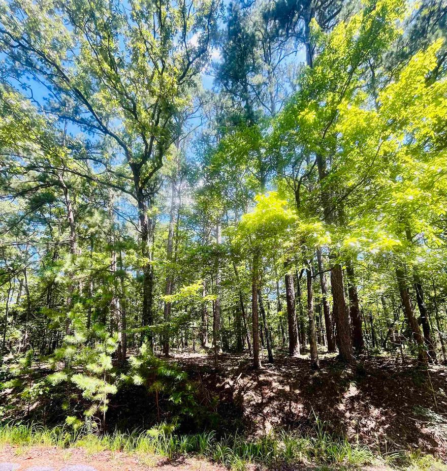 Great interior lot for a new build! Centrally located in Hot Springs Village  making for easy access to all Hot Springs Village offers.