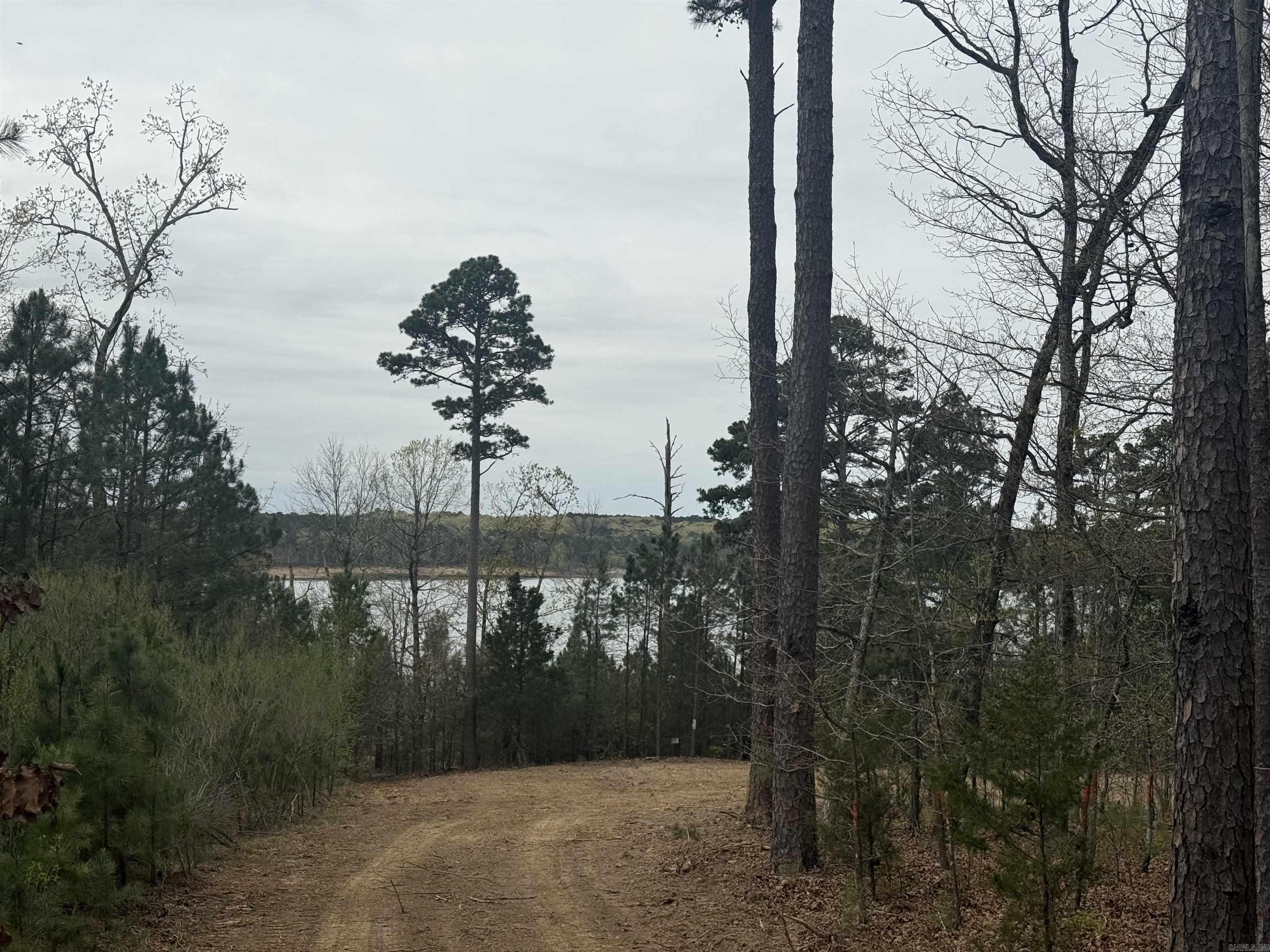 Island Shores - Land