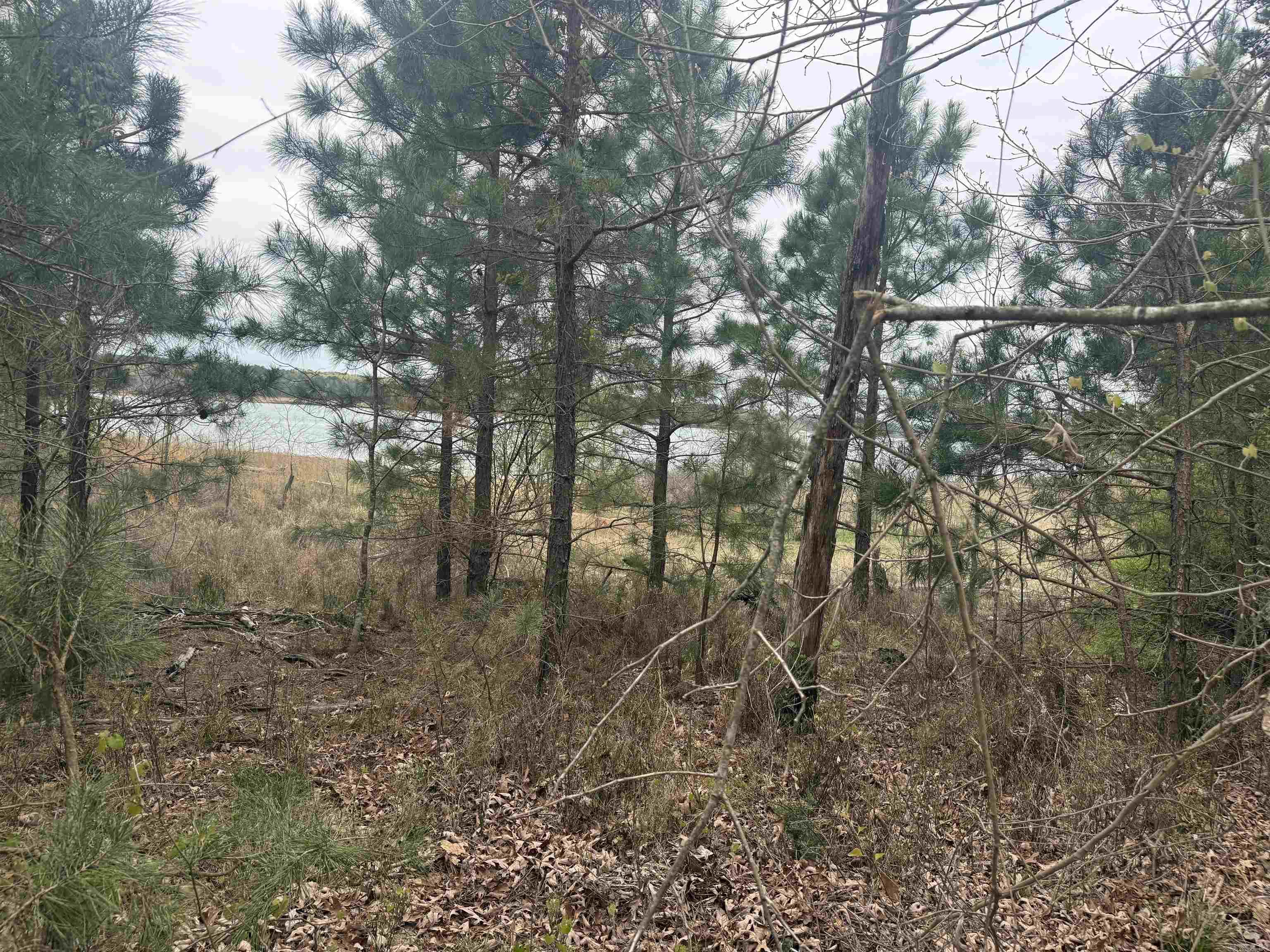 Island Shores - Land