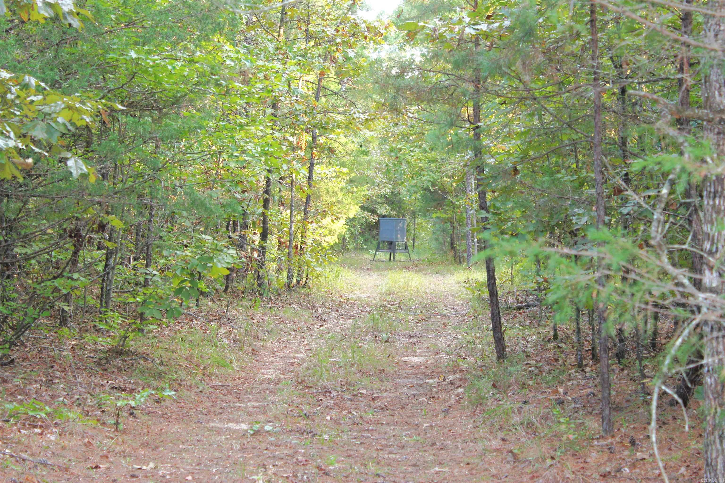 Metes & Bounds - Land