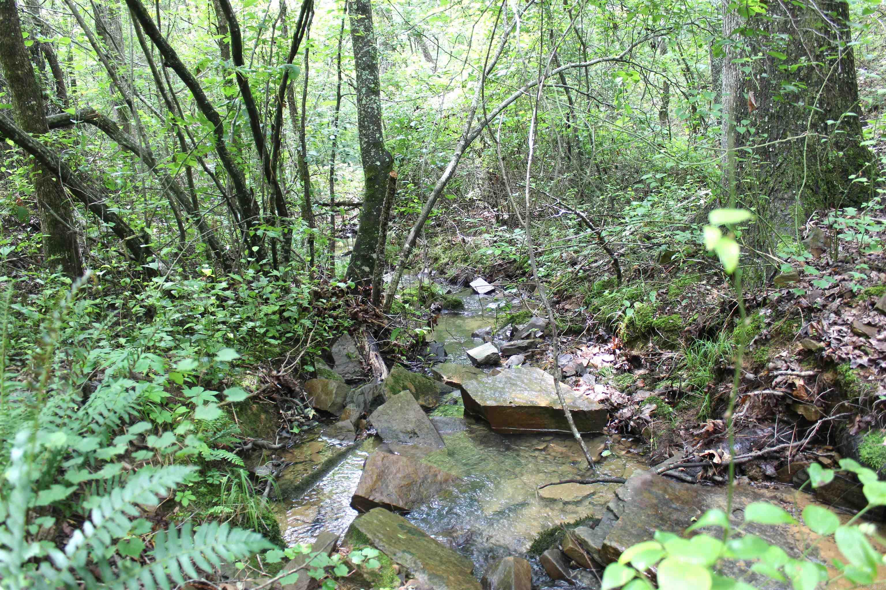 Metes & Bounds - Land