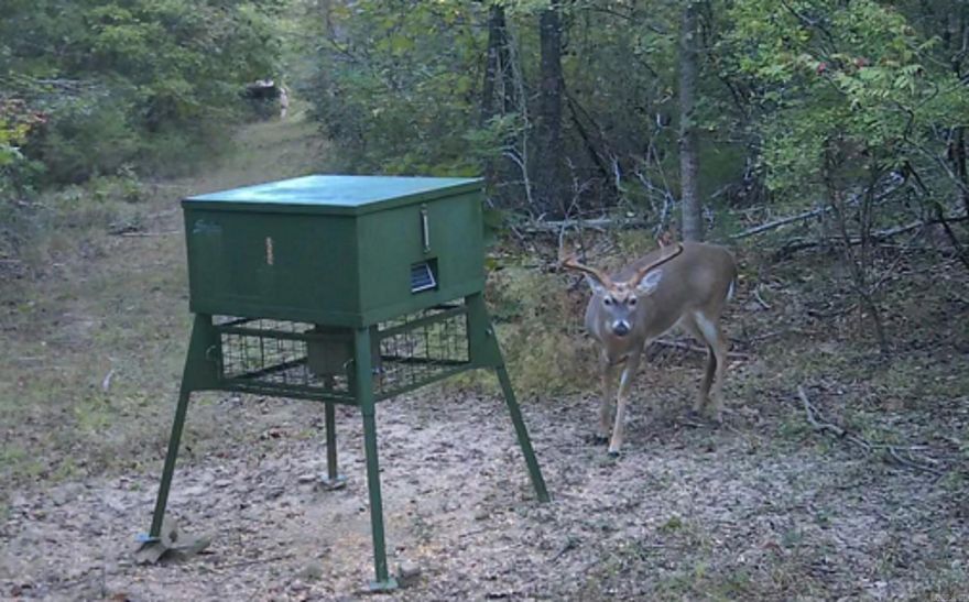 61acre retreat or development opportunity. Escape to your own private 61acre paradise nestled in the heart of nature, just 7 miles from Quitman and a short drive to the sparkling waters of Greers Ferry Lake.  With dual road frontage on Batesville Mountain Rd and Mill Bridge Rd, this property offers prime potential for a private estate, recreational haven, or multifamily development. Property features include 40x40 covered camper pavilion- ideal for RV living or weekend getaways, home office outbuilding complete with mini-split HVAC-perfect for remote work, washer/dryer storage building, 18x20 carport, secure shipping container for tools and storage, deer stand & blind, multiple deer feeders, 2 natural springs and 2 year-round creeks, and an extensive trail system throughout. Enjoy total seclusion, incredible wildlife and peaceful surroundings, this versatile property is ready for your vision whether you want to build your dream home, create a self-sustaining homestead, or invest in land with income potential. Camper not included, nearly everything else stays.