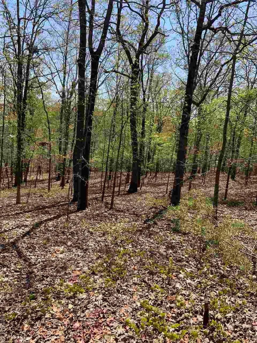 Beautiful setting for your dream home. 2 Lots combined to form 4.31 acres. Established neighborhood close to amenities and 67/167