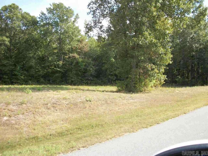 **Upscale subdivision**Kid friendly**Bring you own builder or we can provide builder**all plans to be approved by Architectural Committee**Bill of Assurance**Water & Electricity at street**Wonderful rural subdivision but only 20 minutes to downtown Little Rock**Sheridan/East End Schools**