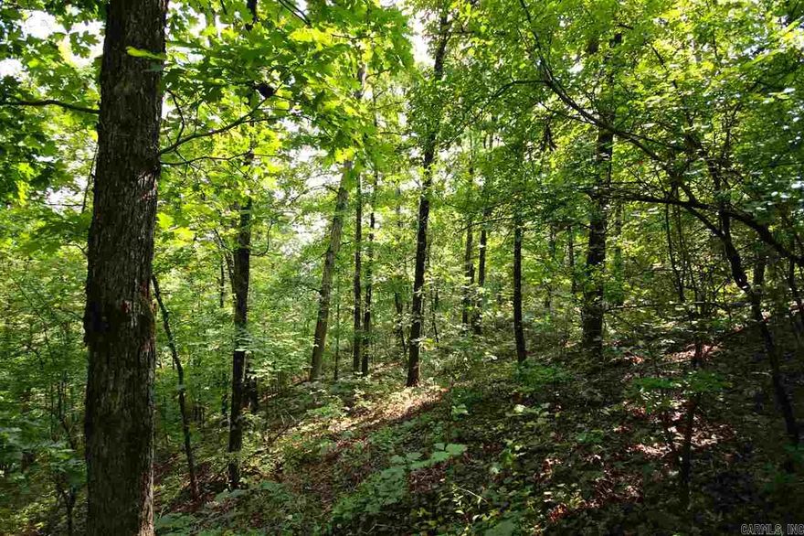 Whether your are looking for a place to build your dream home or an affordable hunting property, this property has great potential.  A rare small tract of mature hardwoods, located in a great hunting area and surrounded by larger parcels with electric close to the property. These smaller parcels are hard to find, so don't let this one get away!!