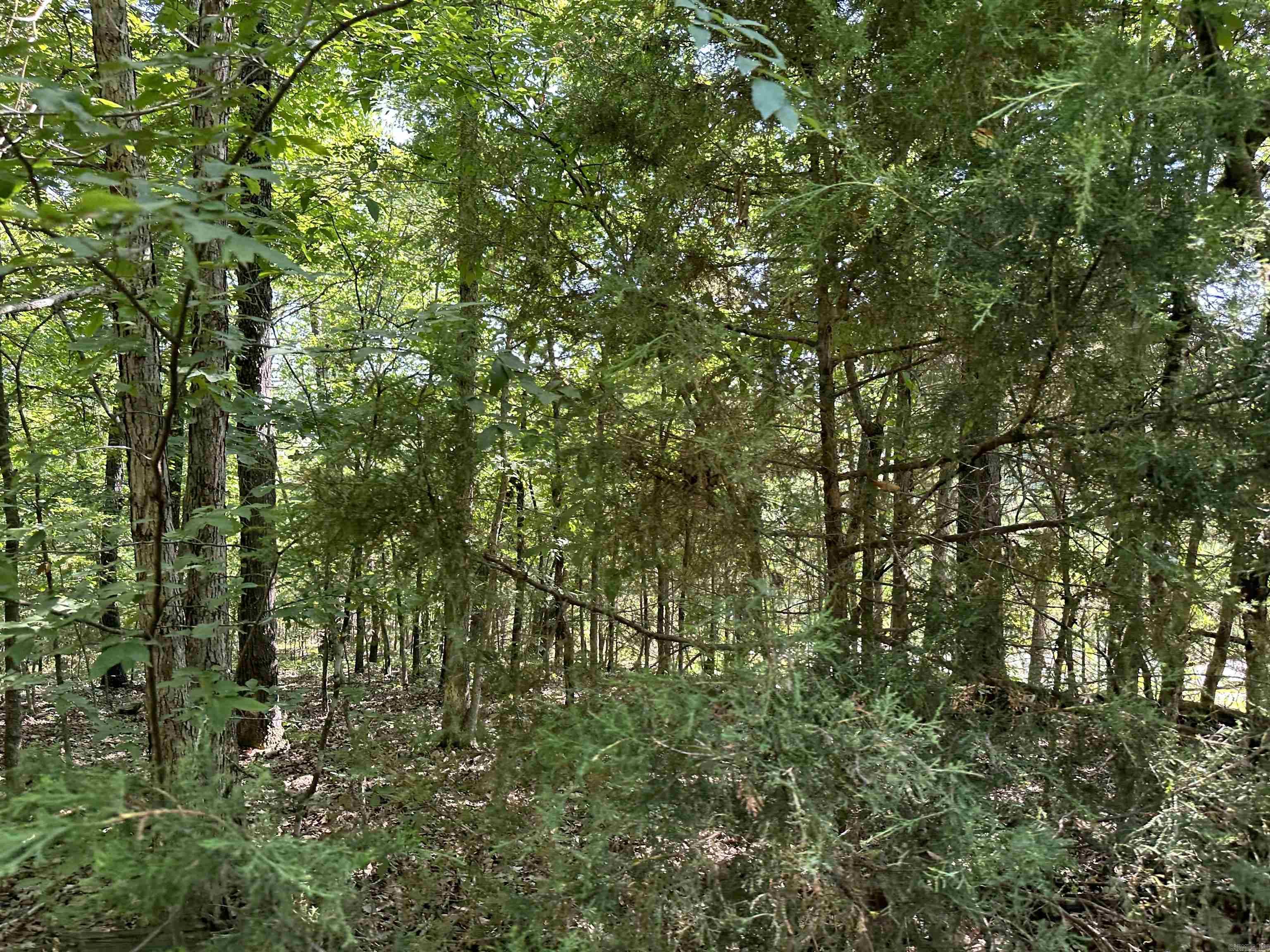NESTLED IN THE SERENE NATURAL BEAUTY OF COTTER & FLIPPIN, this 3.80 ac m/l wooded acreage is a slice of paradise awaiting your vision. With the convenience of electric & city water available, the canvas is set for you to create your dream property. The land's gentle topography, coupled with an existing road, makes it even more enticing. It offers multiple potential building sites, giving you the freedom to choose the perfect location for your future home. Enjoy the best of both worlds-proximity to town while still relishing that peaceful country feel. For those who appreciate the great outdoors, you'll be delighted to know that you're just a short 15-minute drive from the pristine waters of Lake Bull Shoals. Near the White River, you'll have easy access to some of the finest fishing spots in the region. Act now and make this piece of paradise your very own today!