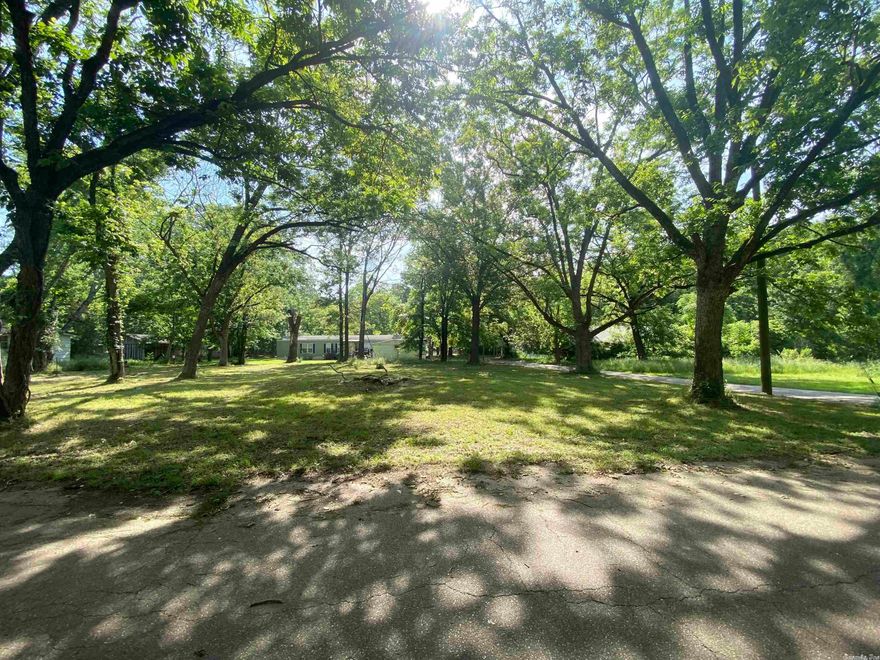 Good opportunity to buy a lot in town on the corner of Womble and Abernathy. Plenty of shade trees.