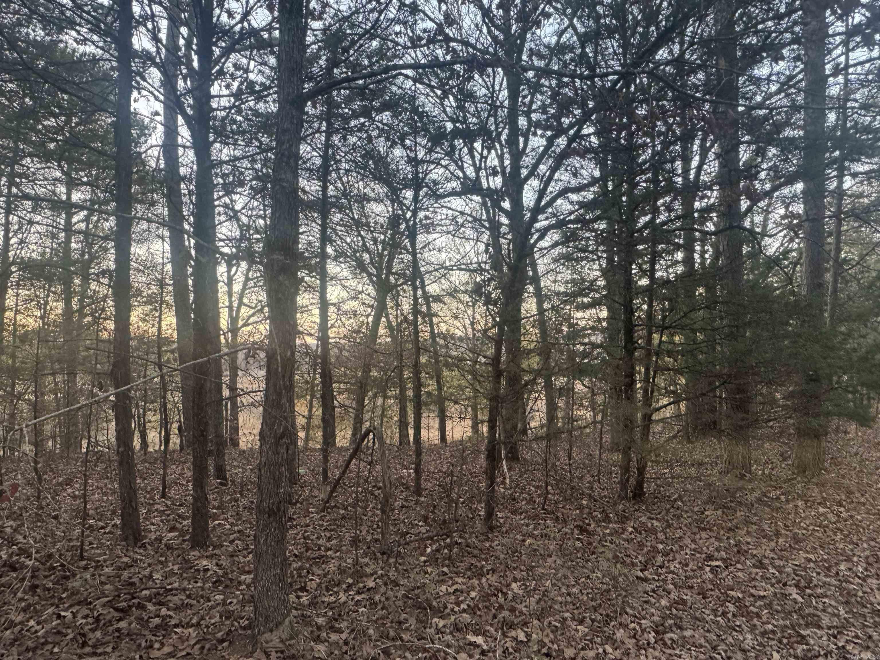 Not in Subdivision - Farm
