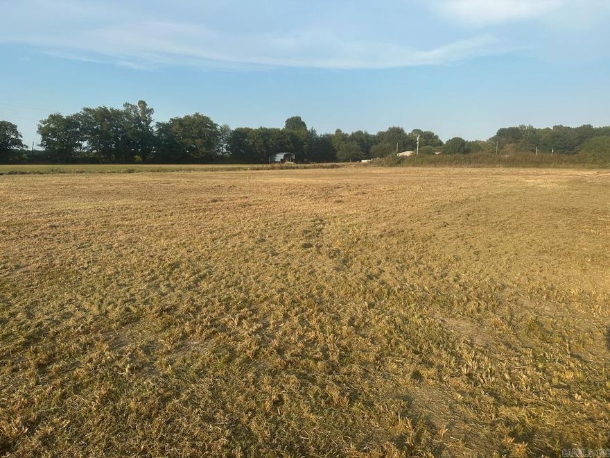 Perfect location to establish a hunting camp with easy access to Hwy 64 and CLOSE PROXIMITY TO CACHE RIVER & CACHE RIVER NATIONAL WILDLIFE REFUGE. Property is located at the corner of Hwy 17 S (Main St) and Prairie Rd in Patterson, AR. This 1.92 acre corner lot has been surveyed and professionally leveled. Buyer must pay for perc test for residential use. Mobiles allowed!