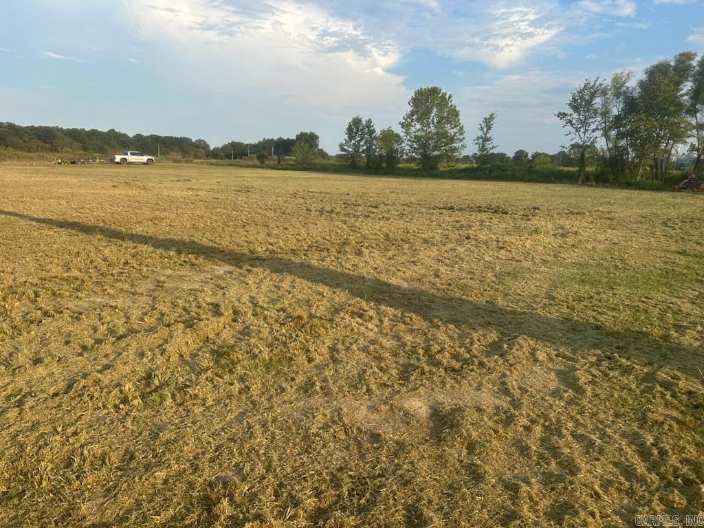 Patterson Original - Land