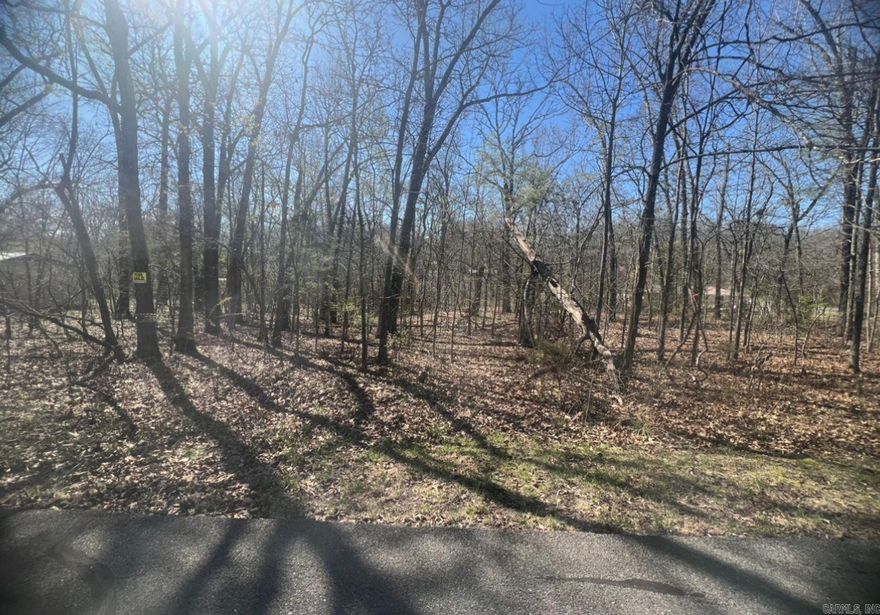 able.This is the perfect lot to build your vacation home! It's located off of a blacktop road and is walking distance to Crown Lake Pier which is handicap accessible. Here is your opportunity to buy a beautiful piece of land in Horseshoe Bend. It is the perfect place to build or use as a vacation spot for yourself or your family. Hold onto for yourself or give it to your kids down the road. This is a lot that everyone can enjoy for years and years to come. Crown Lake is within walking distance, which means you will be close to fishing, swimming, boating, and other water activities. Ownership will come with access to all the Horseshoe Bend amenities, including lakes, golf, and so much more the town has to offer! You can enjoy tennis, shuffleboard, horseshoe pitching, and the playground. You are just a short distance to town if you need any supplies like gas, supplies, convenient shopping and a variety of restaurants. These are just a few things you can find, or you can take a drive to Mountain Home for more options. City water and power nearby; septic tank and permit required.  Owner Financing Avail