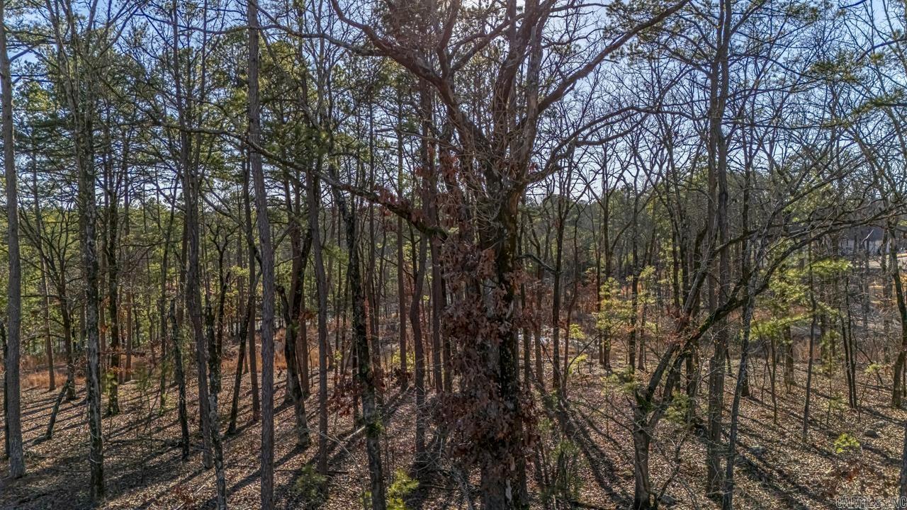 BEAR DEN ESTATES - Land