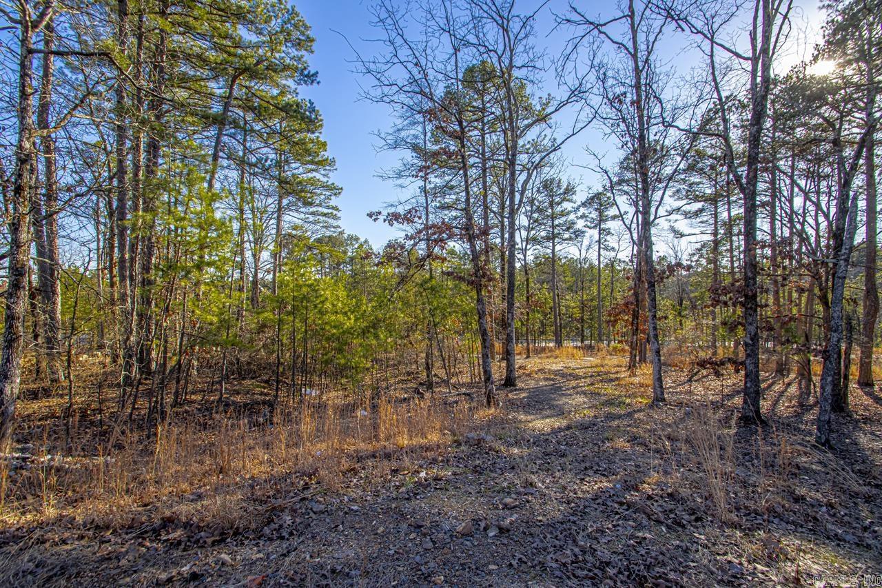 BEAR DEN ESTATES - Land