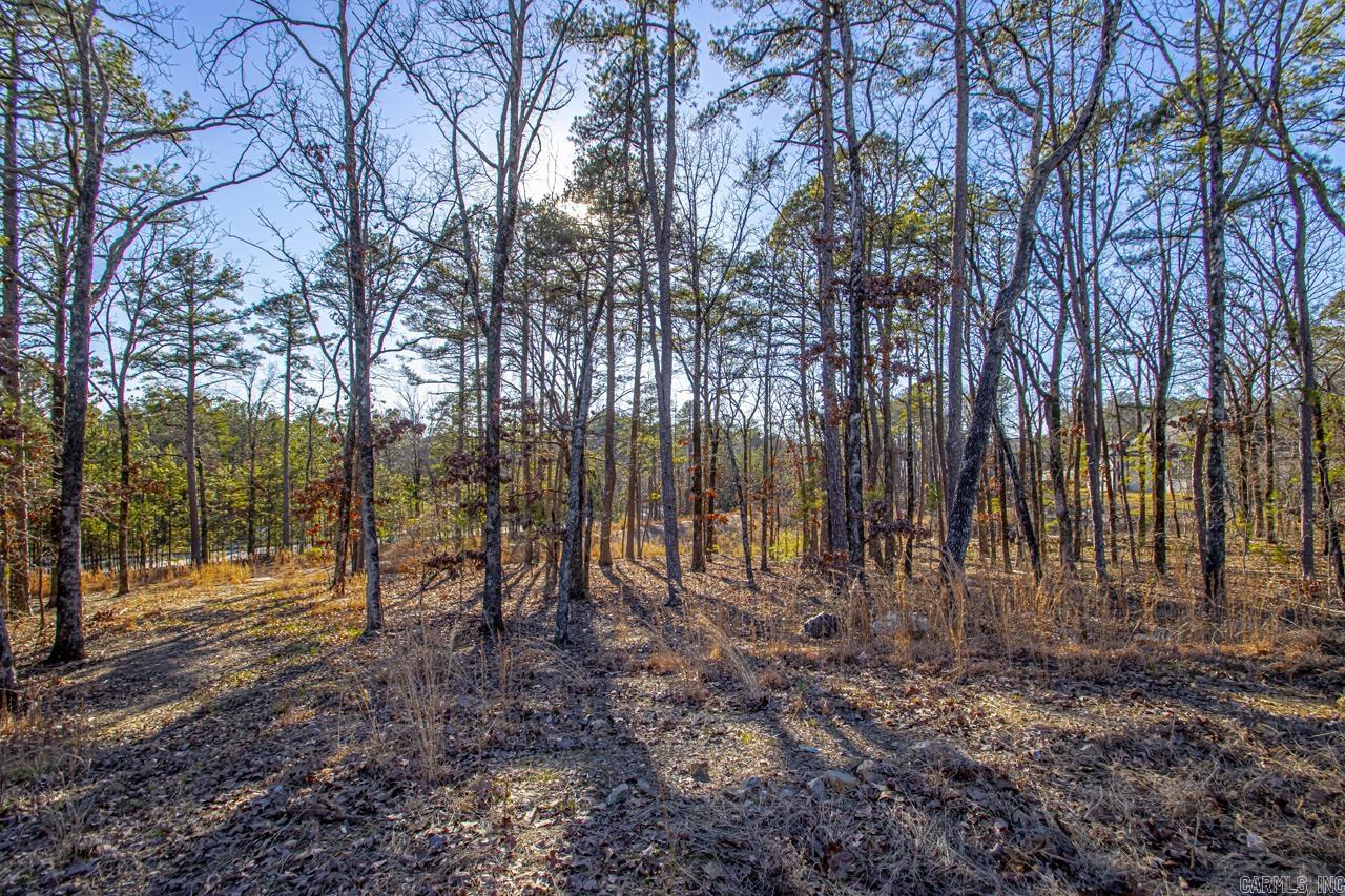 BEAR DEN ESTATES - Land