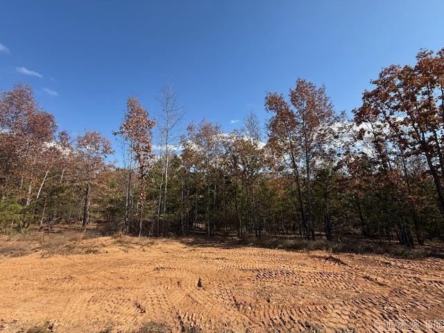 SUMMERLYN SUBDIVISION - Land