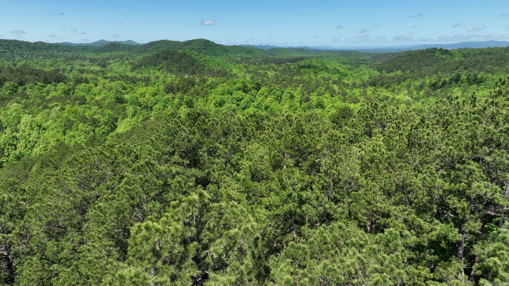 Nestled in the heart of the renowned Wolfpen ATV trails, this wooded 9.93-acre parcel offers the perfect blend of adventure and tranquility. Whether you're looking to build your dream getaway or simply park your RV, this property provides a versatile and scenic retreat. Private, joining Ouachita National Forest, and with no restrictions, the possibilities are endless—from a rustic cabin to a private camping escape. The terrain is mountain-like, rich with natural beauty and teeming with wildlife, offering a true back-to-nature experience. Additional adjoining lots are also available if you're looking to expand your slice of paradise. Taxes will need to be assessed after purchase due to subdivision of existing parcel.