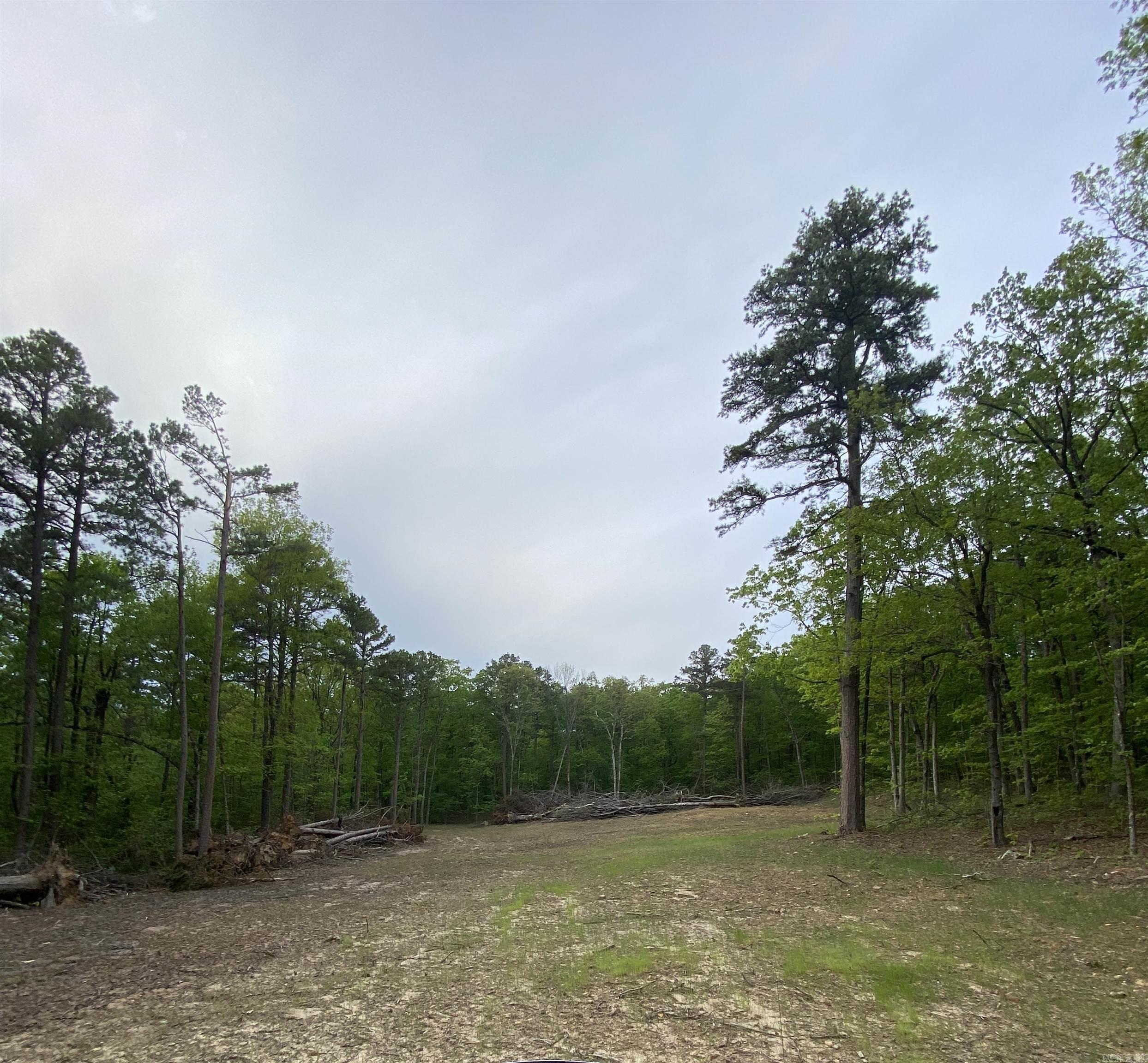 Looking for privacy just 15 minutes from town? This beautiful 12.5-acre wooded property offers the perfect balance of seclusion and convenience. Located on a well-maintained county road, it features water and electricity available at the roadside for easy access. Approximately 1 acre has been thoughtfully cleared in the heart of the property—ideal for building your dream home—while the rest is covered in towering, straight Pine trees mixed with some Hardwoods. A newly constructed driveway with a culvert leads through the trees to the clearing, ensuring privacy: the road is completely out of sight. The terrain is mostly flat, with a gentle slope toward the back, providing excellent building potential. Whether you choose to harvest the Pine for a custom home or keep the trees for a private, wooded retreat, this land is a haven for nature lovers and hunters alike, with abundant wildlife throughout. Situated just 15 minutes from the popular Kenda Drive-In Theater in Marshall, AR, and only 25 minutes from the scenic Buffalo River, this property offers both tranquility and convenience.