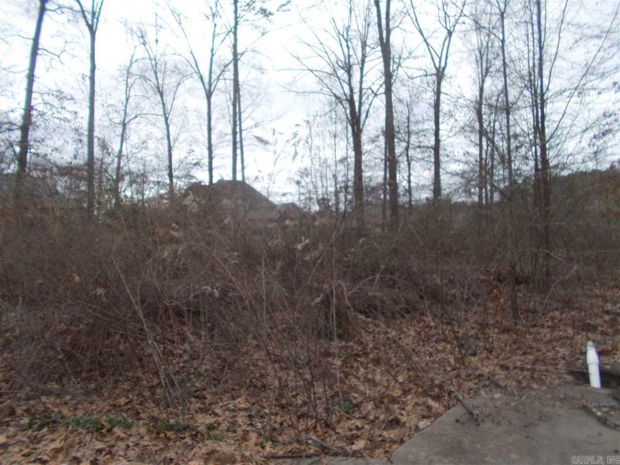 Why not Silver Springs? Incredibly priced lots where reasonably priced homes can be built and are in a great school district! Research Harmony Grove Schools and you'll see! Enjoy wide streets, sidewalks! Electric, sewer and water utilities available! Across the street from Silver Springs CC #7 tee box. Qualifies for RD loans! Lots are mostly level! See Agent Remarks