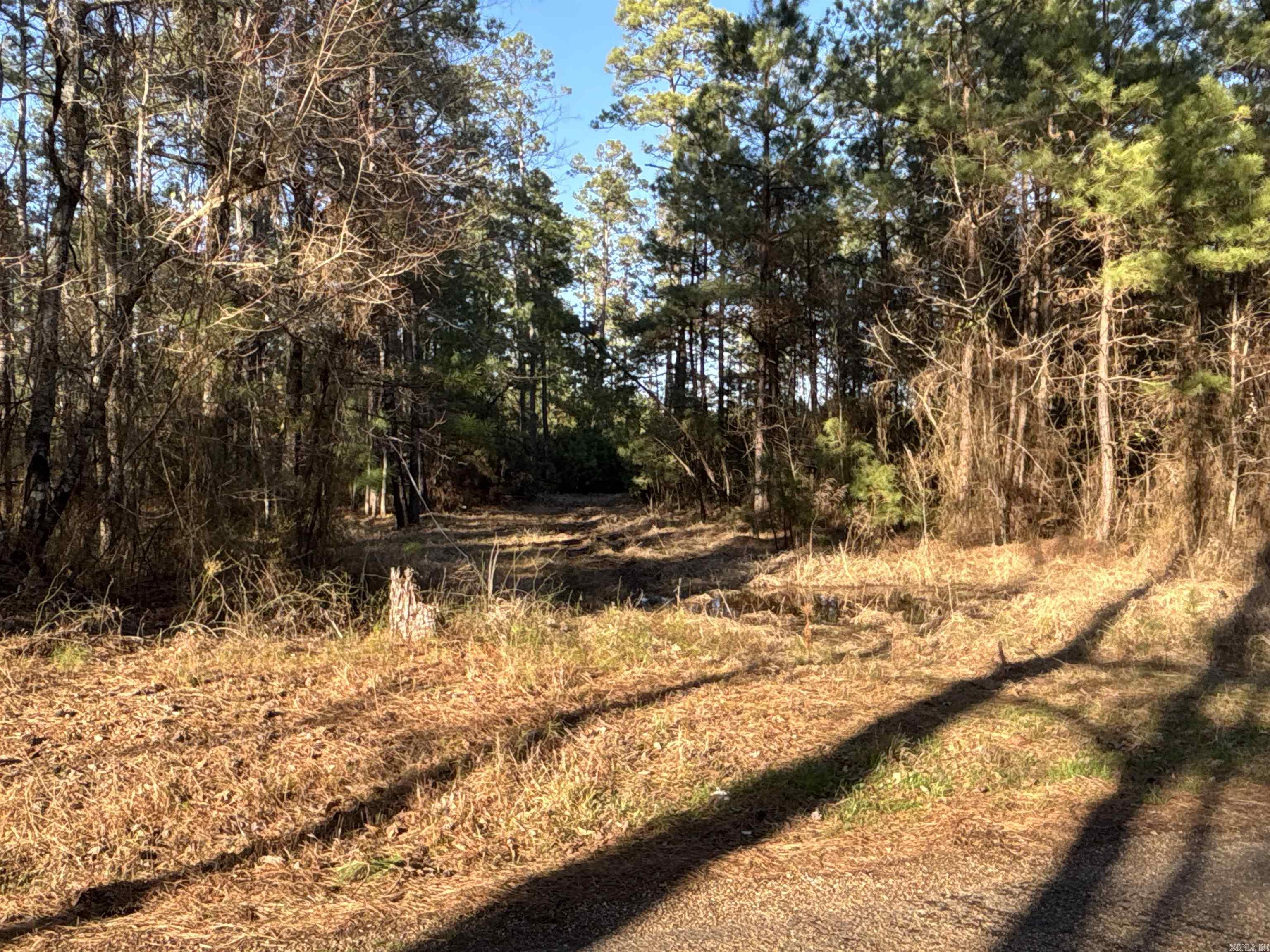 Sparkman Original - Land