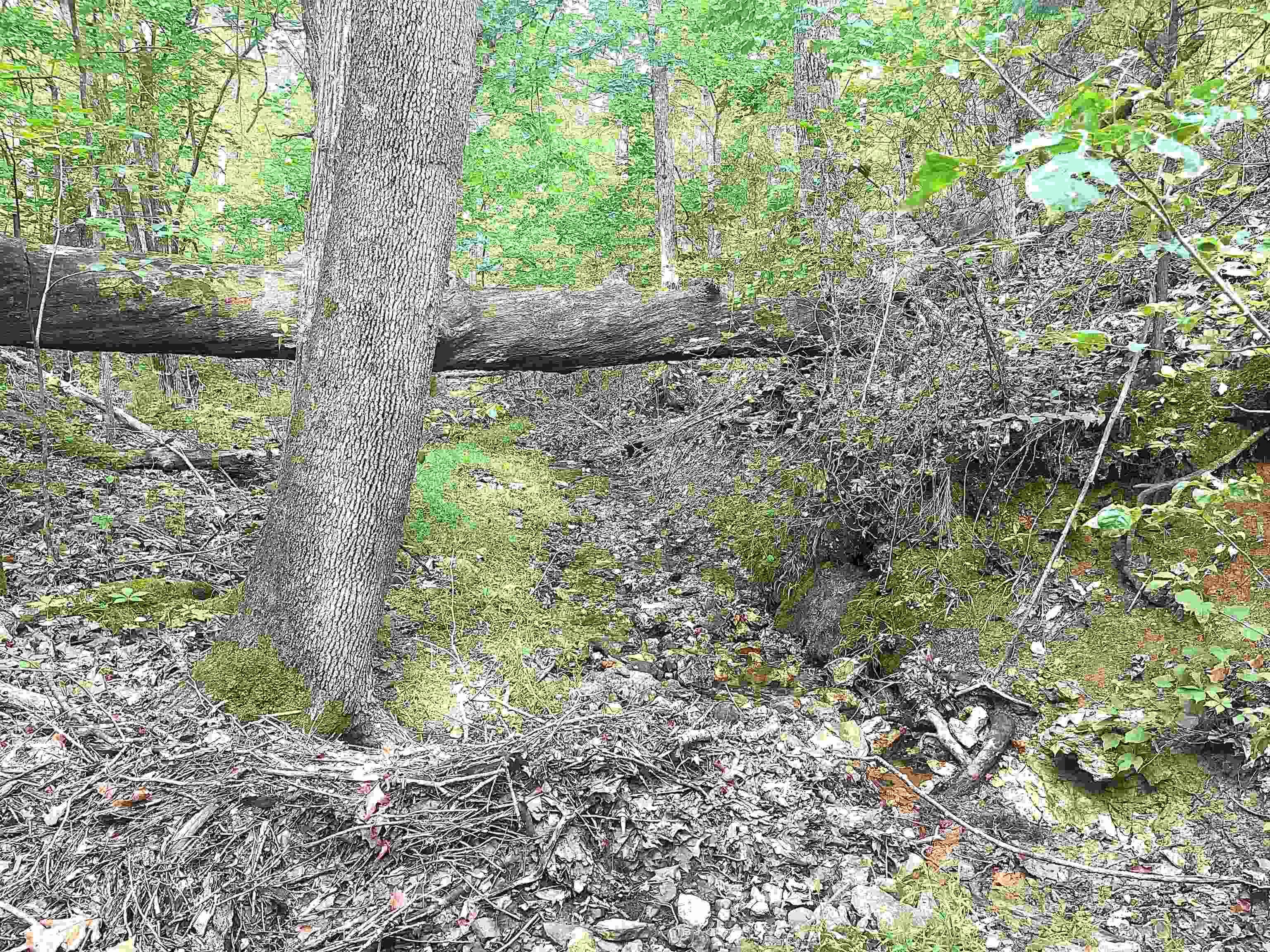 Clarkridge View - Land