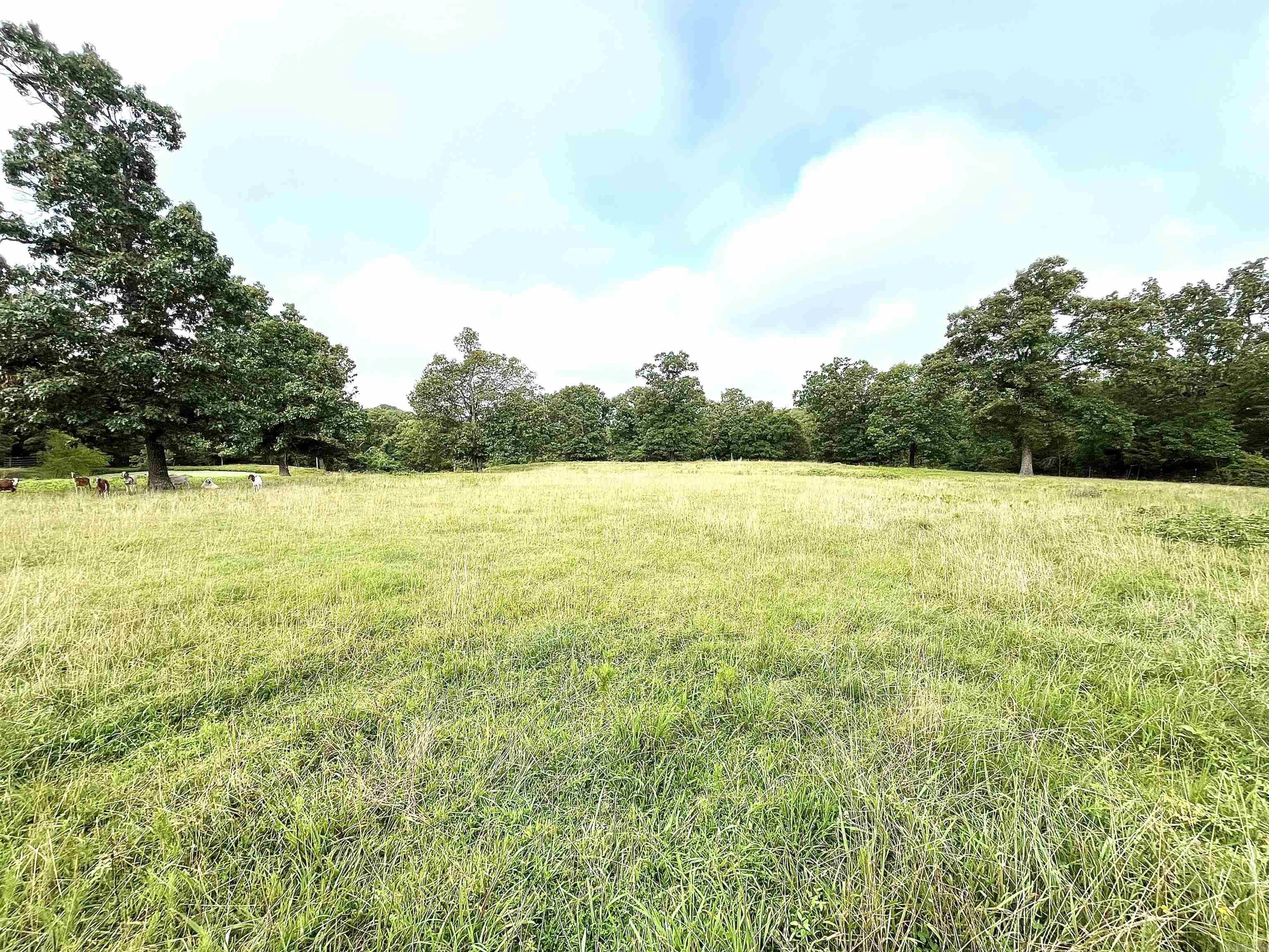 Clarkridge View - Land