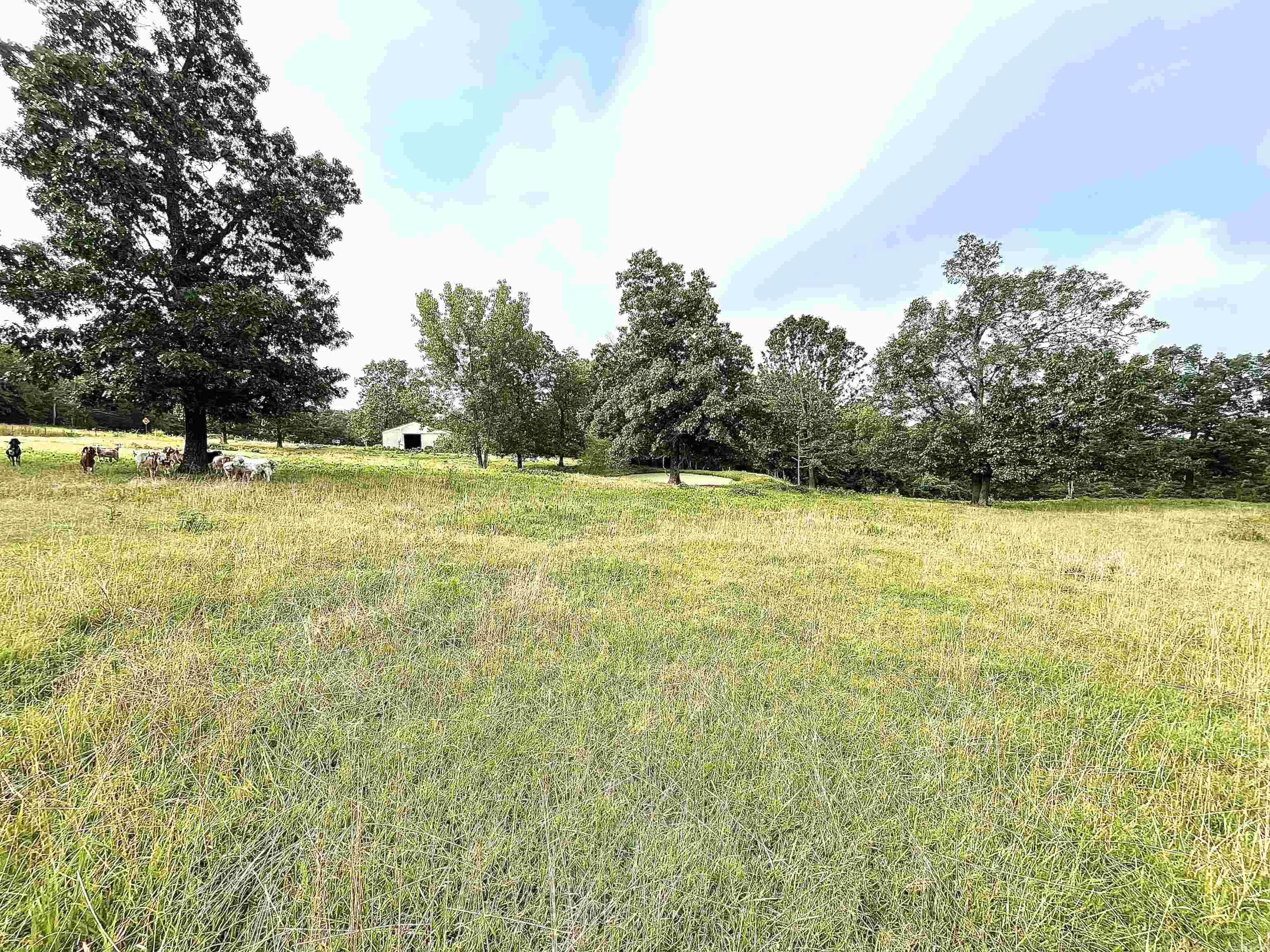 Clarkridge View - Land