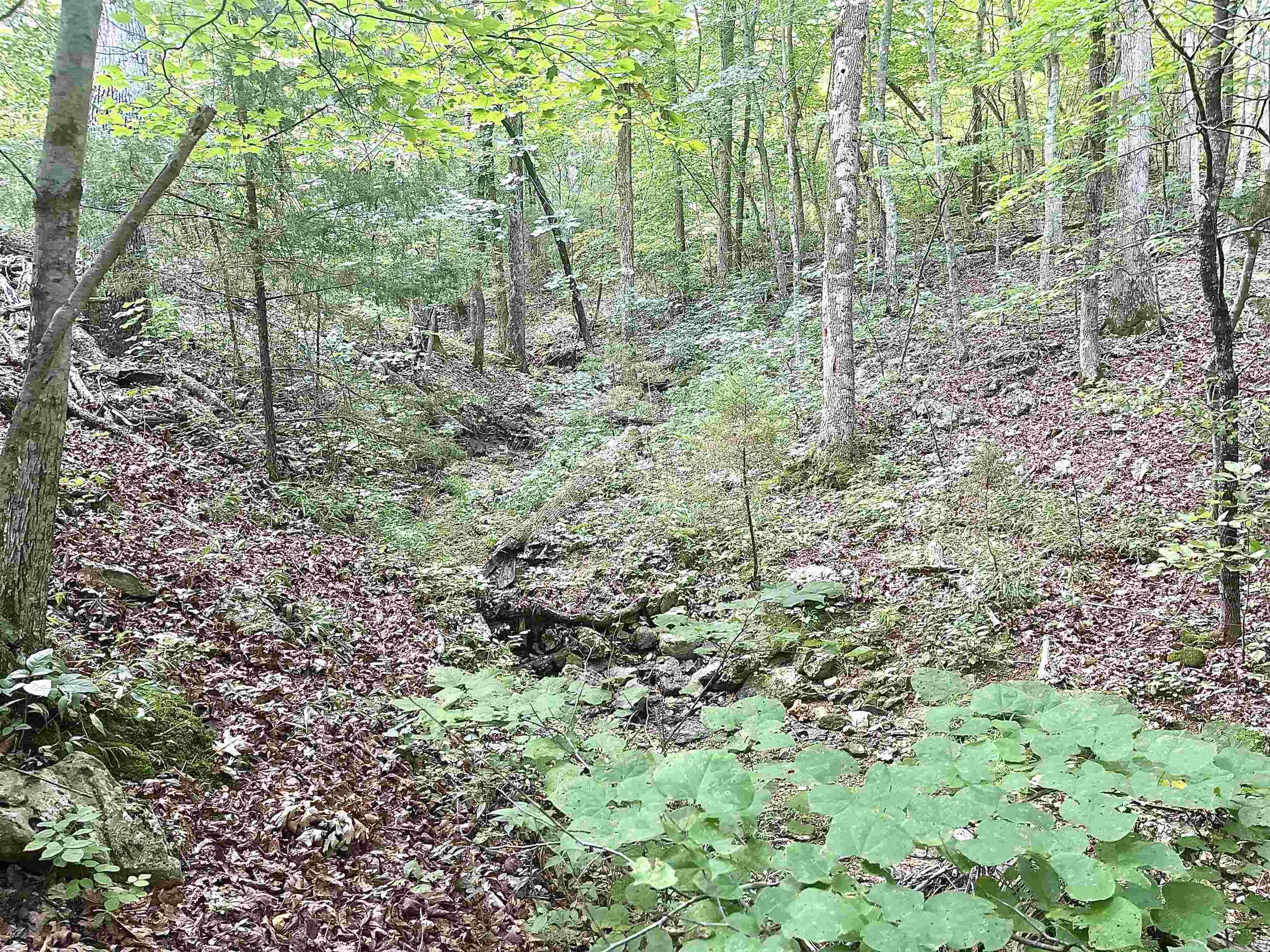 Clarkridge View - Land