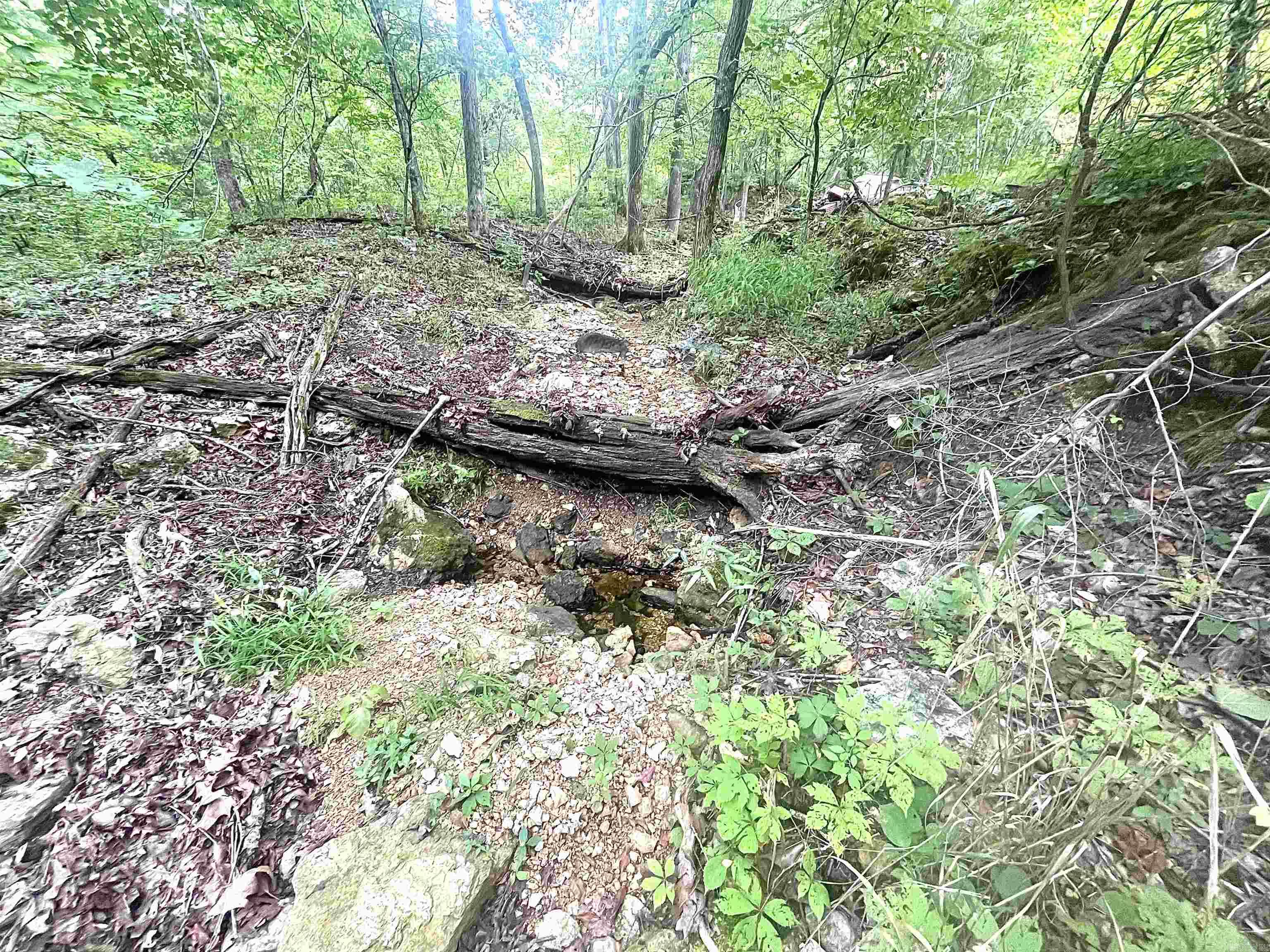 Clarkridge View - Land