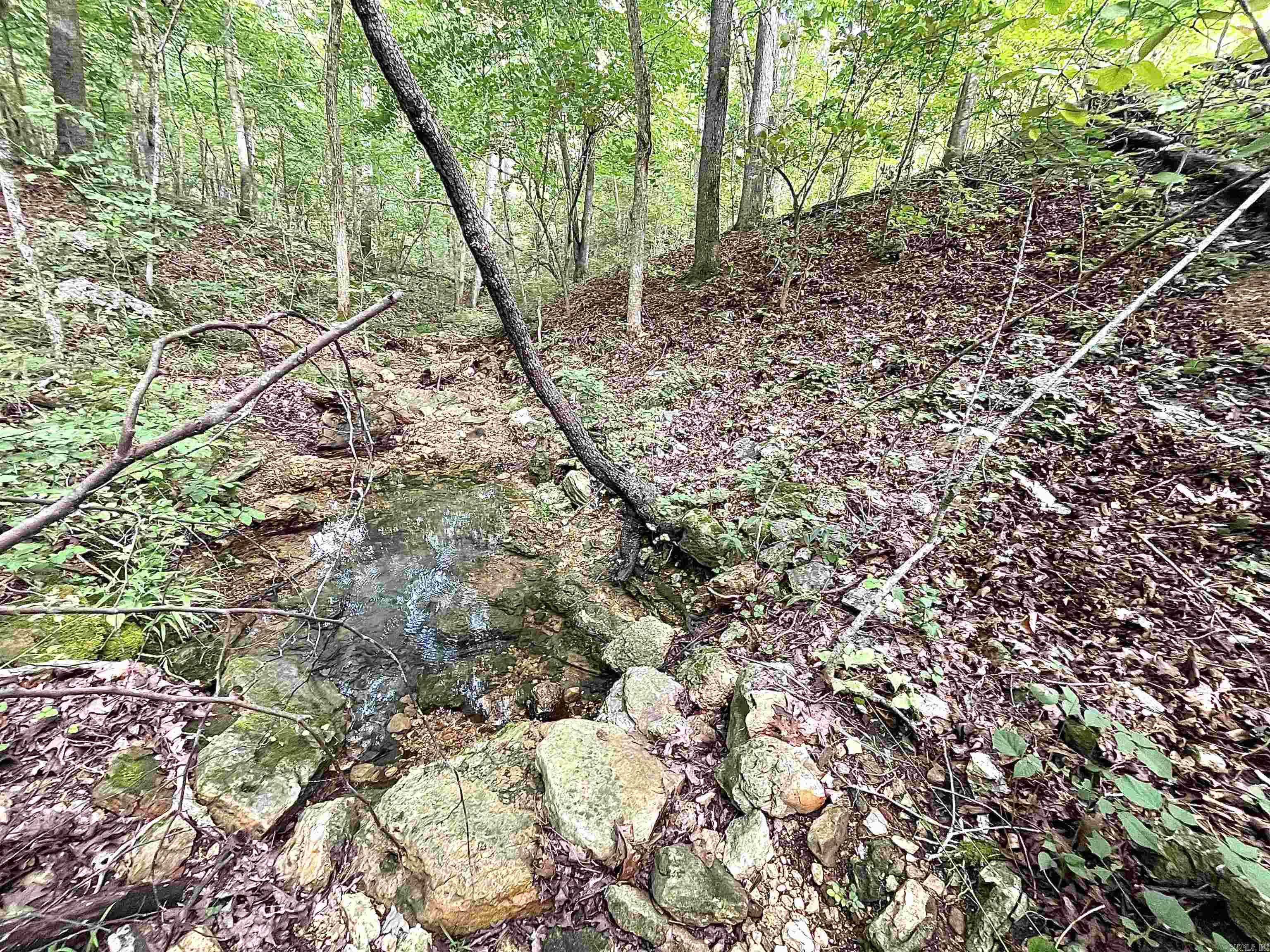 Clarkridge View - Land