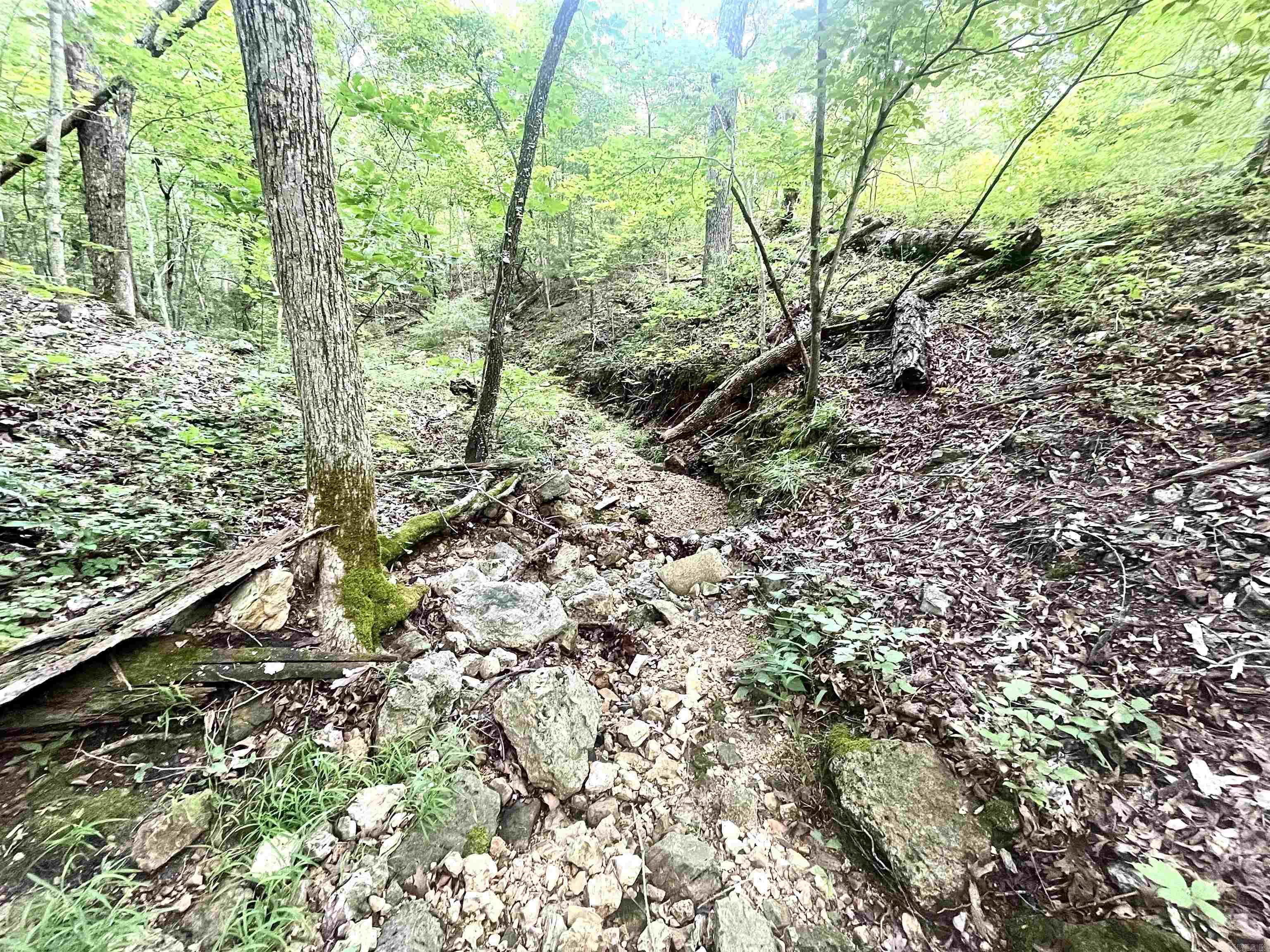 Clarkridge View - Land