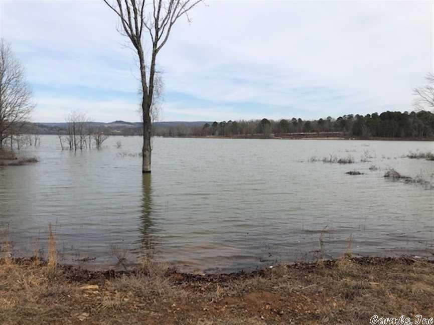 Lot 3 of Memory Lane Estates may be the most affordable lakeview and lake access lot along Greers Ferry Lake! City water and electricity on site. Paved road maintained by city. Every lot has passed a preliminary perc test for a septic system. Residents have access to lake by walkway. Imagine the convenience of being able to tie up your boat at the waters edge to allow your family to come aboard, or being able to go ashore to eat your lunch in your own home. Check out this amazing lot before it's gone!