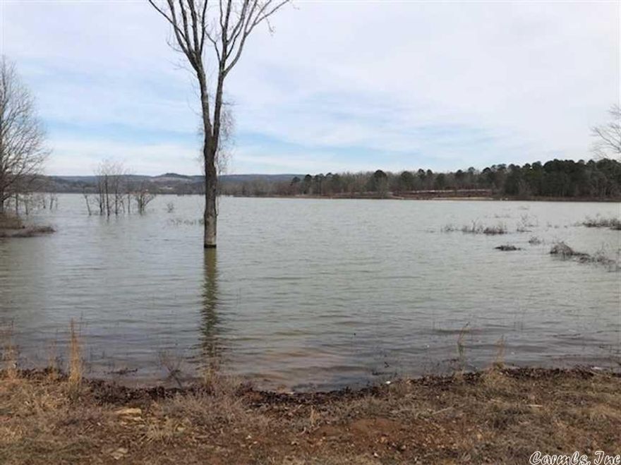Lot 3 of Memory Lane Estates may be the most affordable lakeview and lake access lot along Greers Ferry Lake! City water and electricity on site. Paved road maintained by city. Every lot has passed a preliminary perc test for a septic system. Residents have access to lake by walkway. Imagine the convenience of being able to tie up your boat at the waters edge to allow your family to come aboard, or being able to go ashore to eat your lunch in your own home. Check out this amazing lot before it's gone!