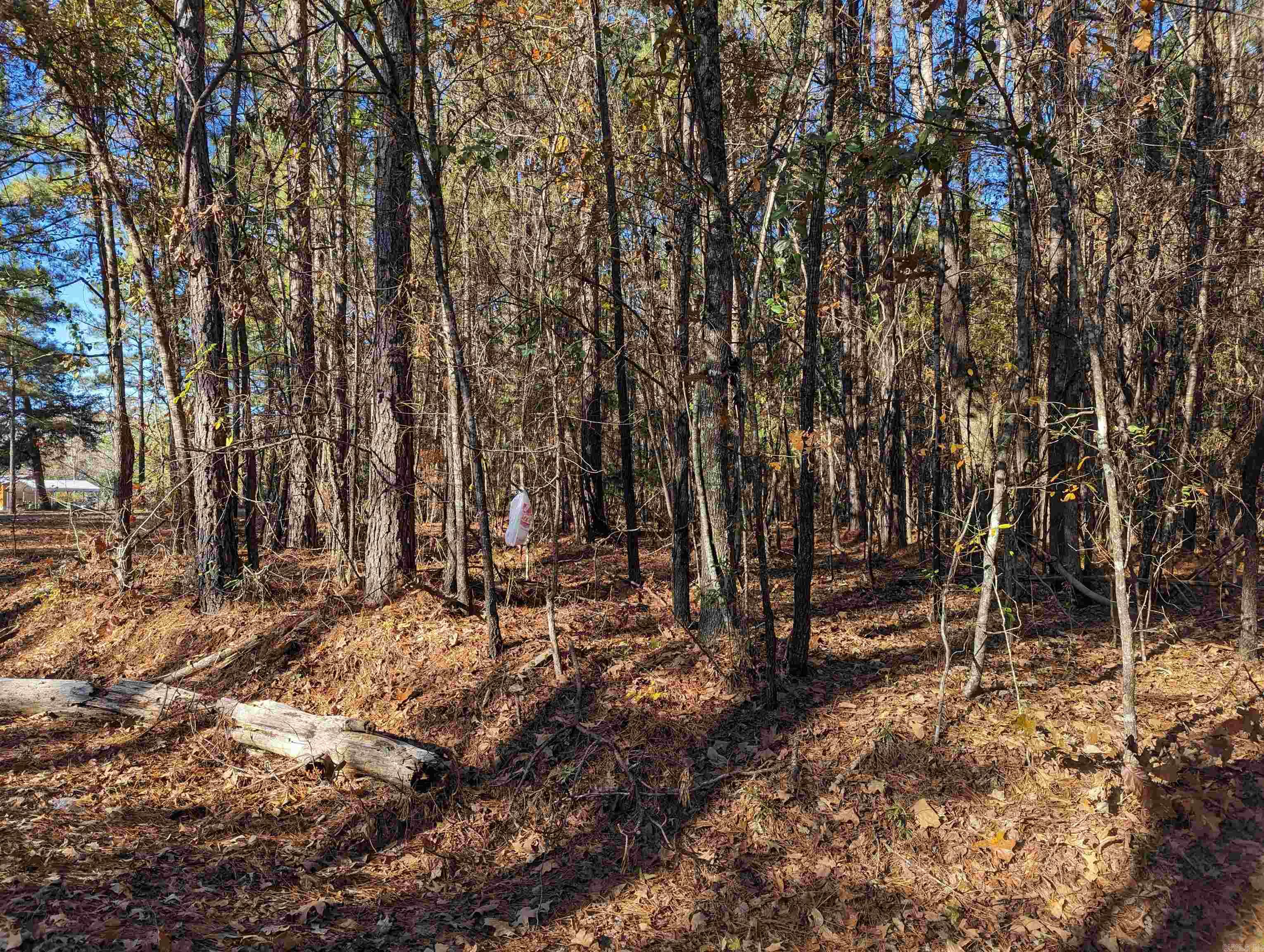 Metes & Bounds - Land