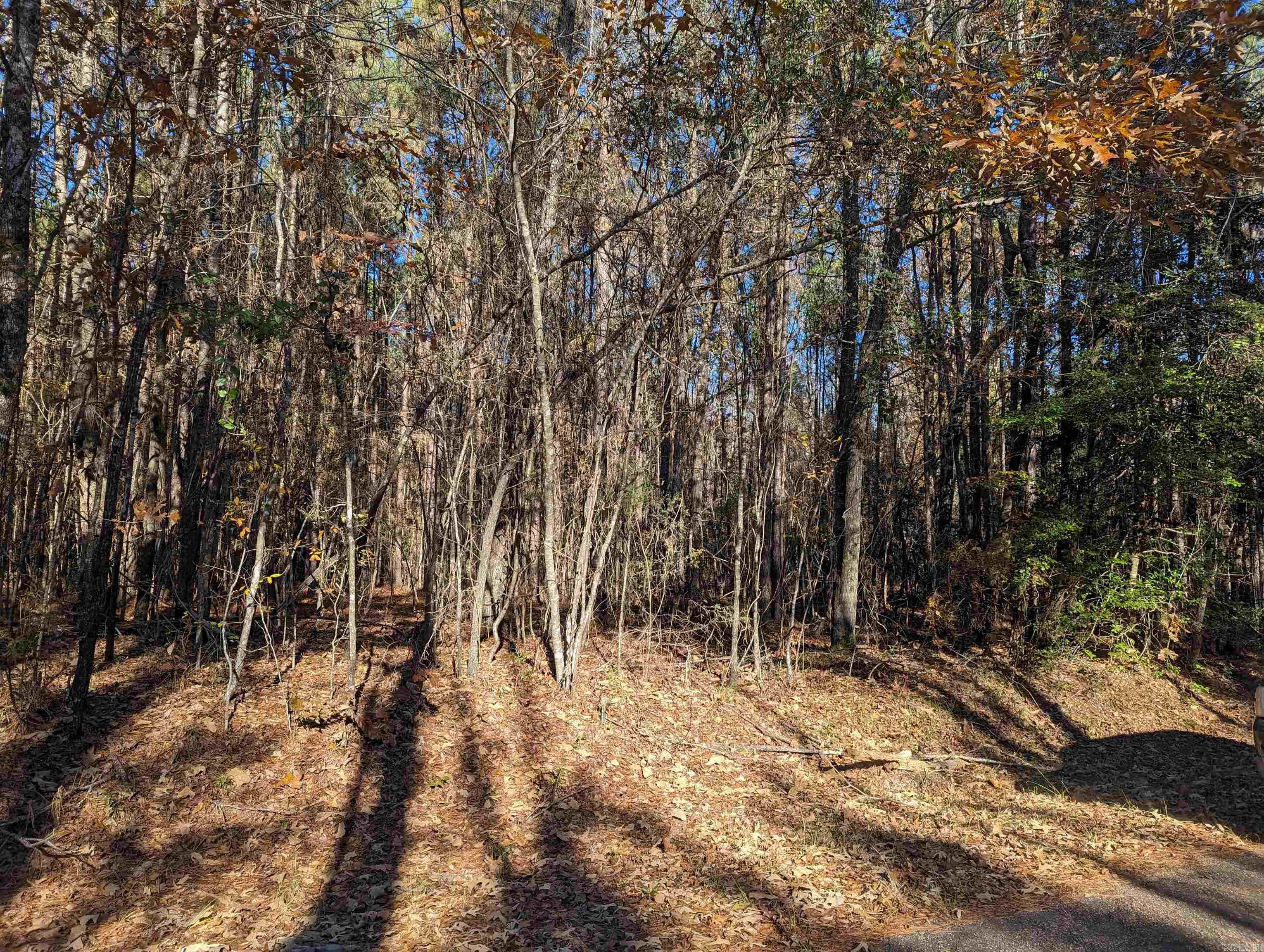 If you are looking for a peaceful setting to set up your new mobile home or to build, take a look at this beautiful acre in the Elliott Community. Rural living at it's best.