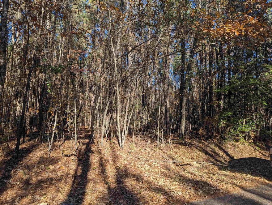 If you are looking for a peaceful setting to set up your new mobile home or to build,  take a look at this beautiful acre in the Elliott Community. Rural living at its best.