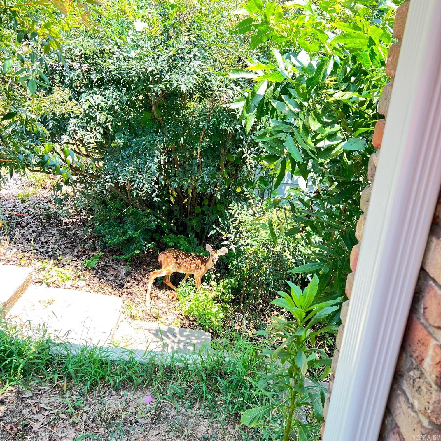 KINGWOOD PLACE - Residential