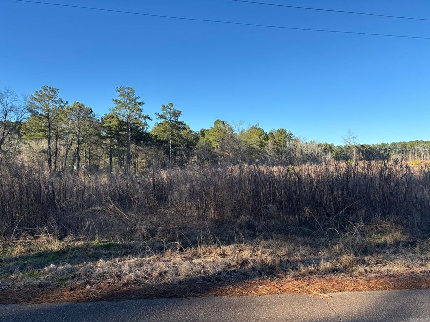 Check out this attractive and appealing acreage with over 16 acres.  Build your dream home, a cabin, put up some deer stands and hunt deer and turkey. Plenty of room for gardens, trails unwinding by a campfire and outdoor activities. It's your choice. Don't pass up this opportunity!