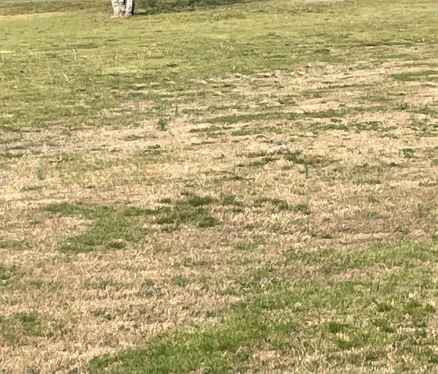 sold before listed property