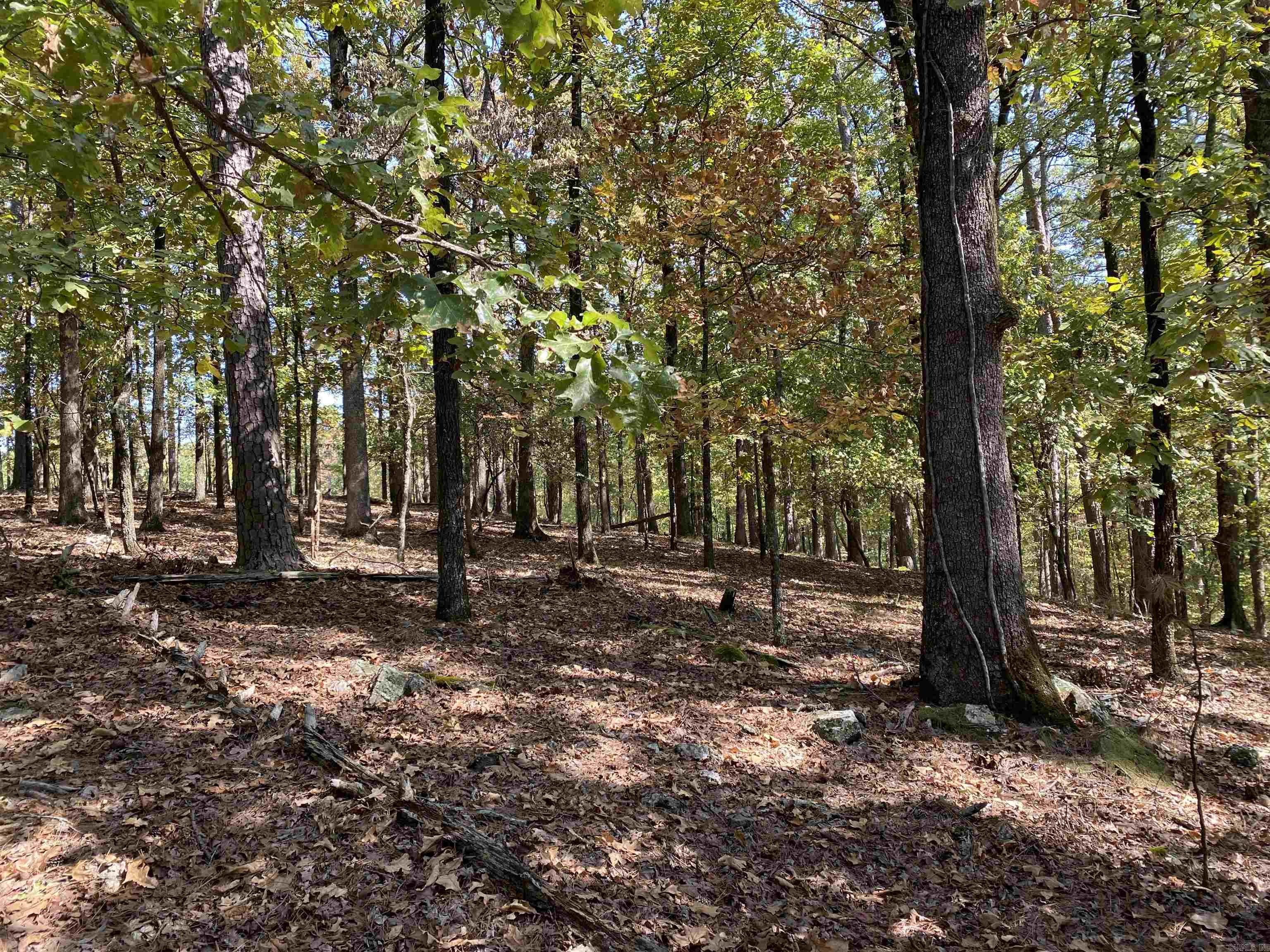 Hickory Nut Mountain Estates - Land