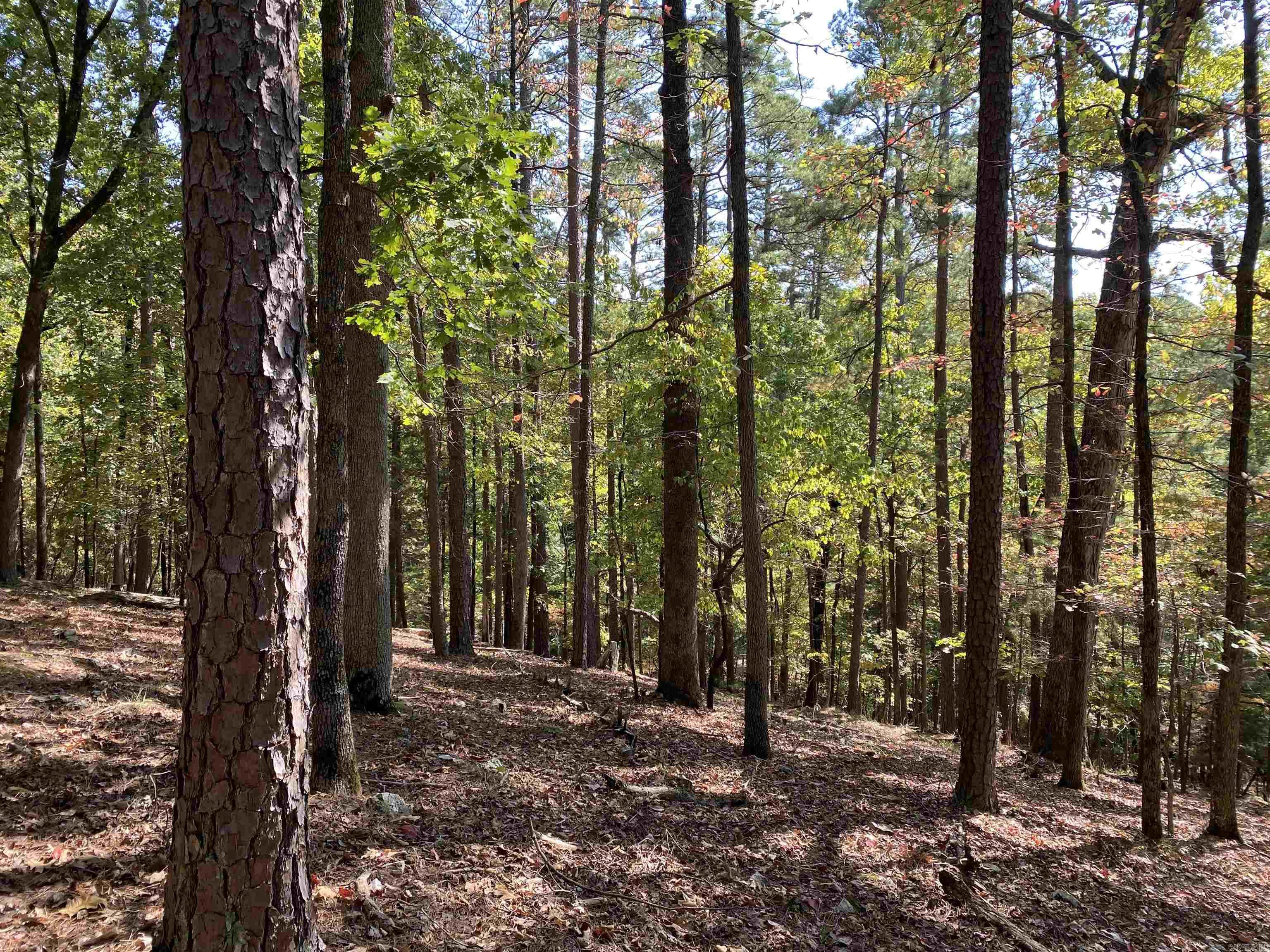 Hickory Nut Mountain Estates - Land