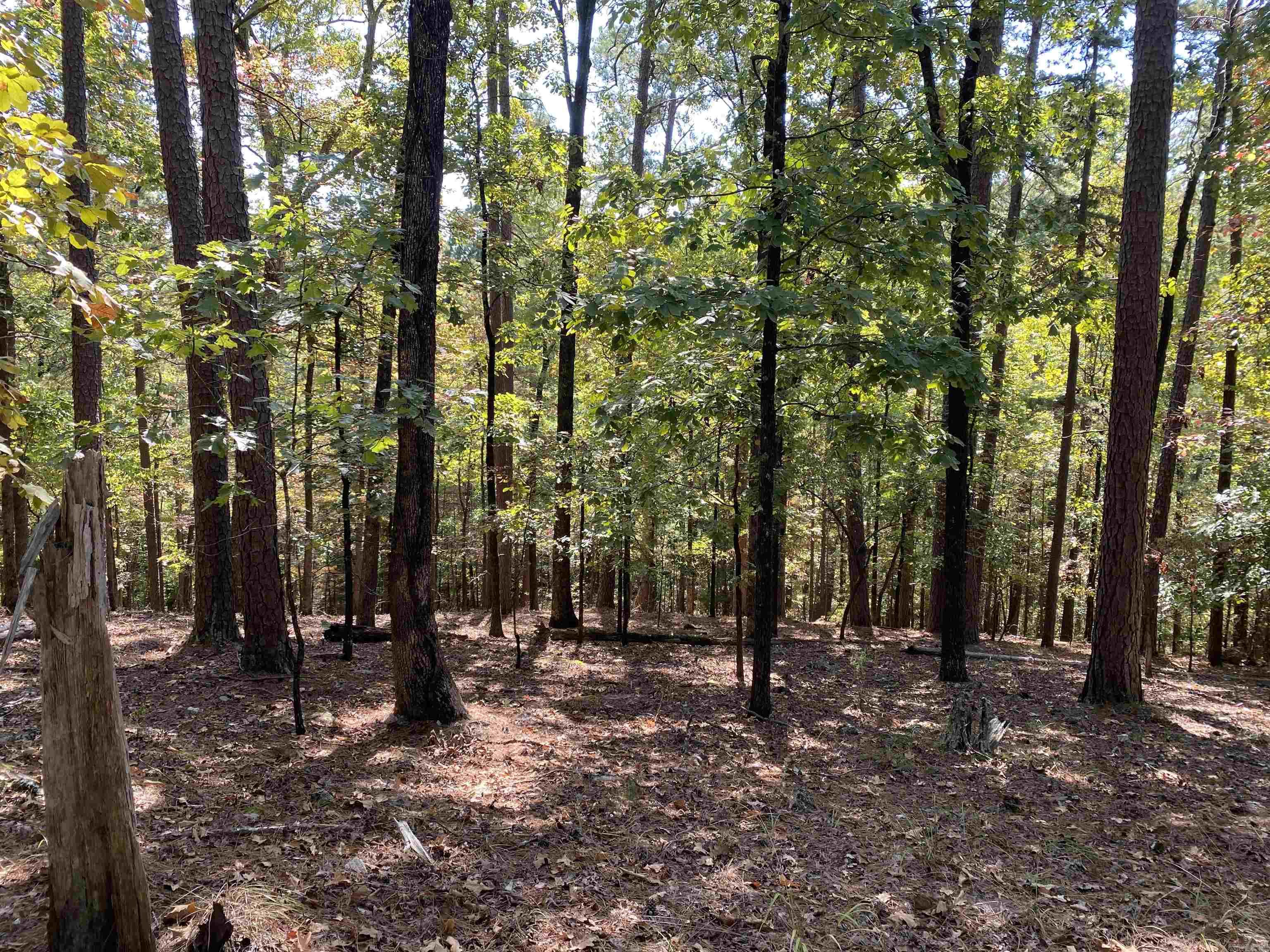 Hickory Nut Mountain Estates - Land