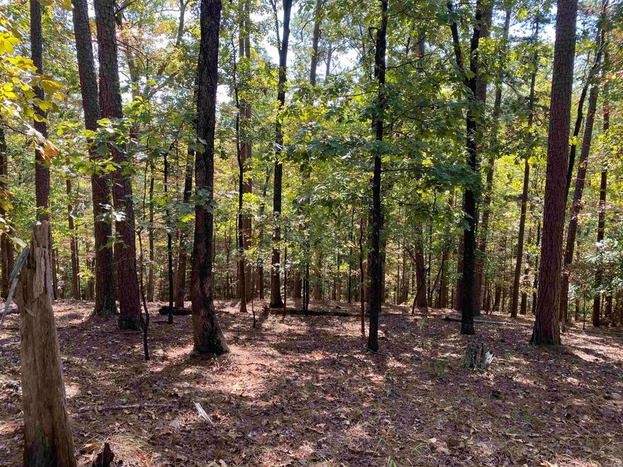 2.06 m/l acres in Harbor South at Mountain Harbor Resort.  This vacant home lot has not been touched and is full of old forest growth and wildlife. Located on a nice street with beautiful homes and only minutes away from Lake Ouachita, Turtle Cove Spa and the Harbor South Park.  Come take a look and see what might be possible!