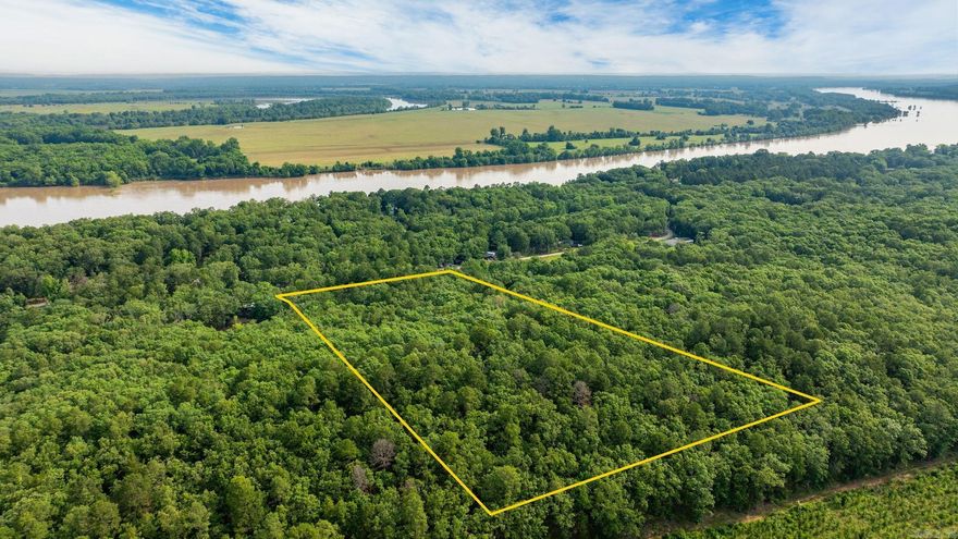 Incredible 5 Acre tree covered lot in Stony Point just minutes from Conway. This lot is located in a peaceful and quiet area ready to build your dream home! Electricity and water at street.